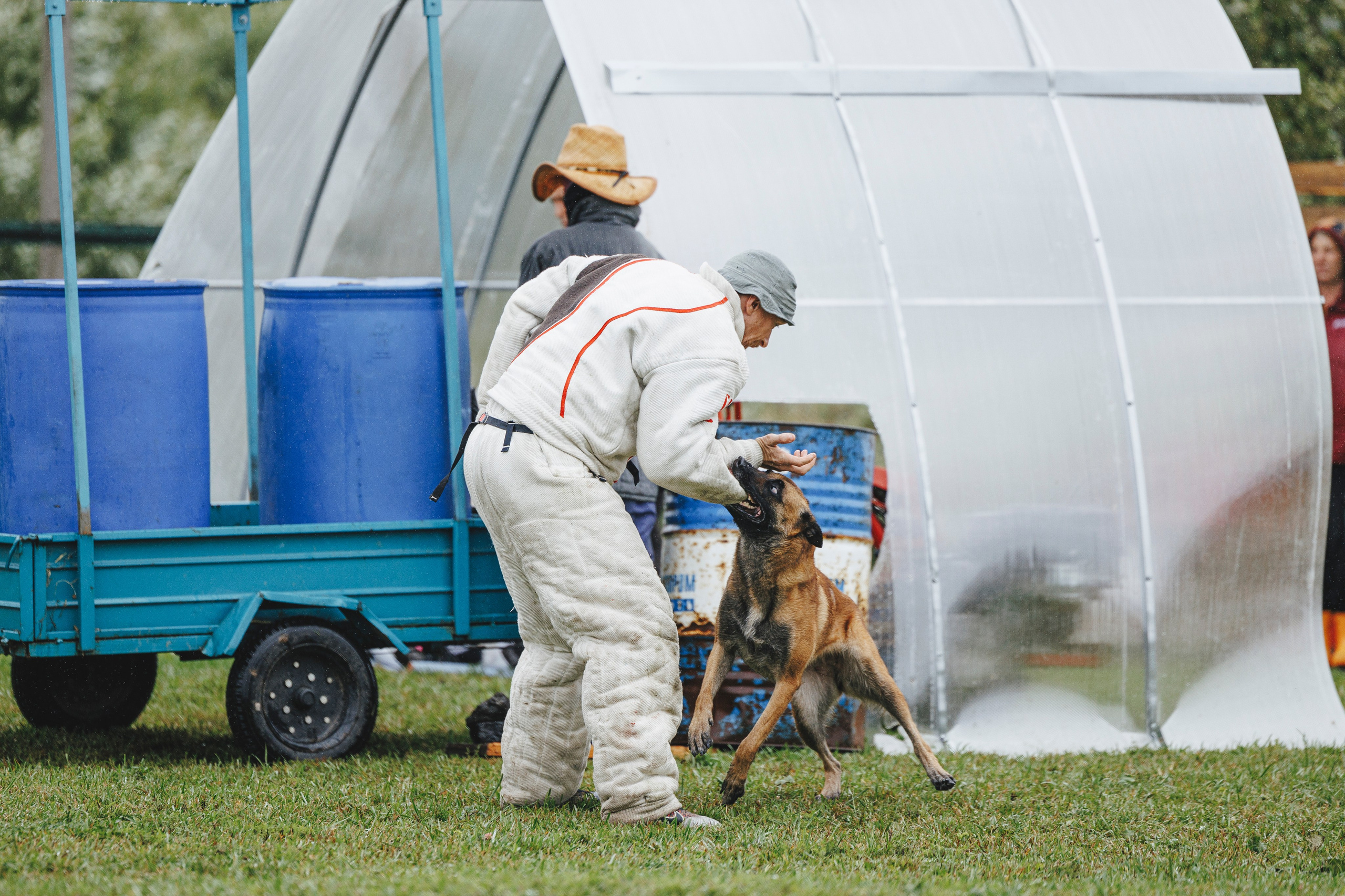 08.08.25-10.08.25 ЧР по мондьорингу г. Вологда. Фотограф-анималист Анна Маринич