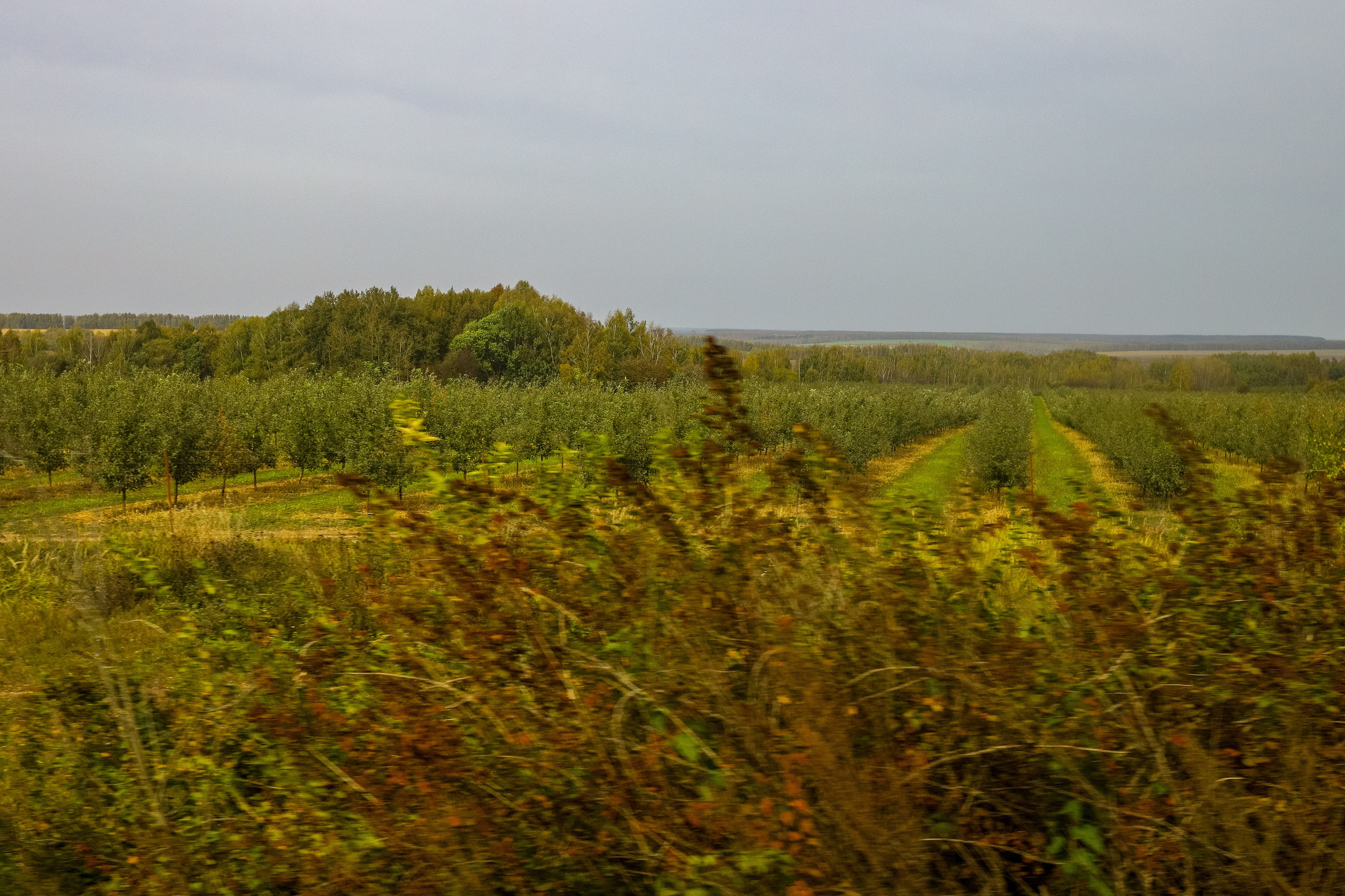 Поездка в Белев и на производство пастилы. Фотограф в Туле Крупский АнДРей. Фотостудия «КАДР71» в Туле