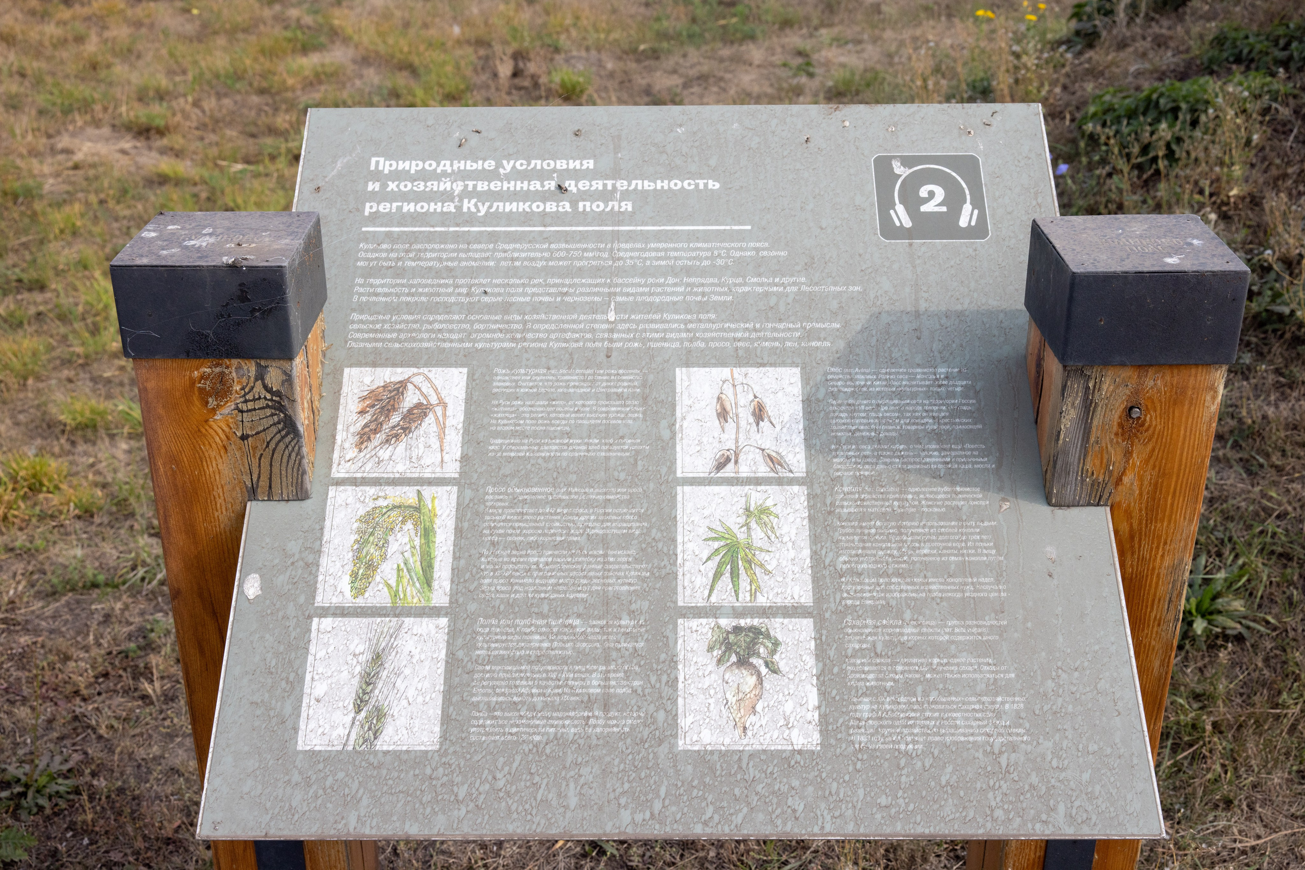 Поездка на поле Кулеково. Фотограф в Туле Крупский АнДРей. Фотостудия «КАДР71» в Туле