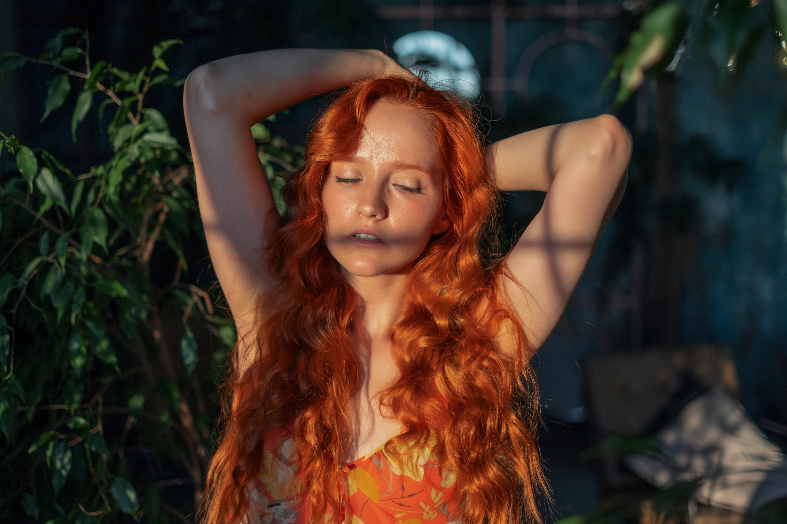 Garden. Andrey Bogdanov Photo