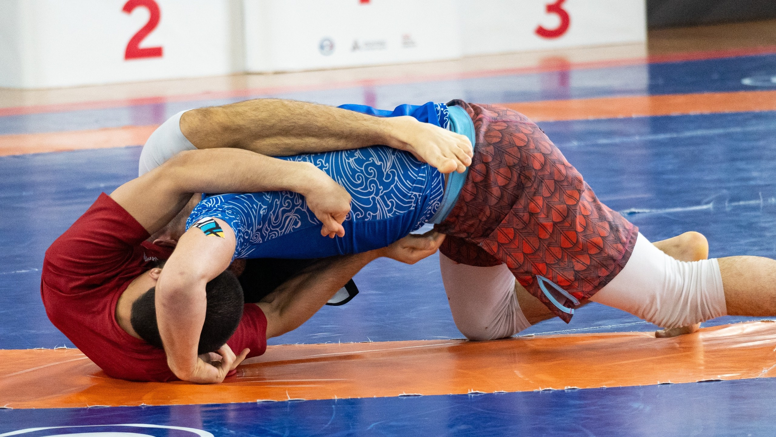 Чемпионат России по грэпплингу среди студентов 2025. Фотограф и видеооператор Екатерина Гнатюк