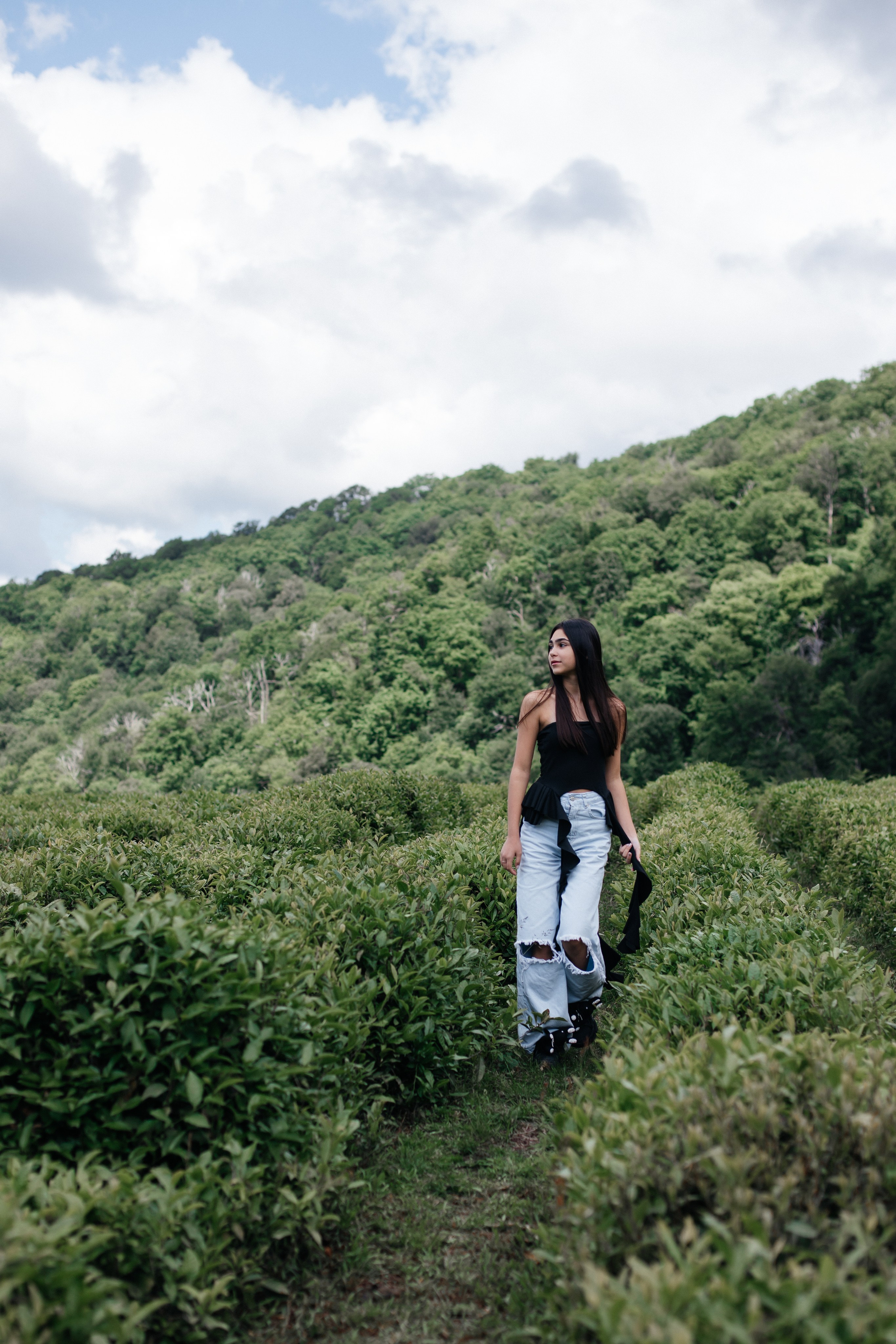 Tea plantation. Efimova Model Agency