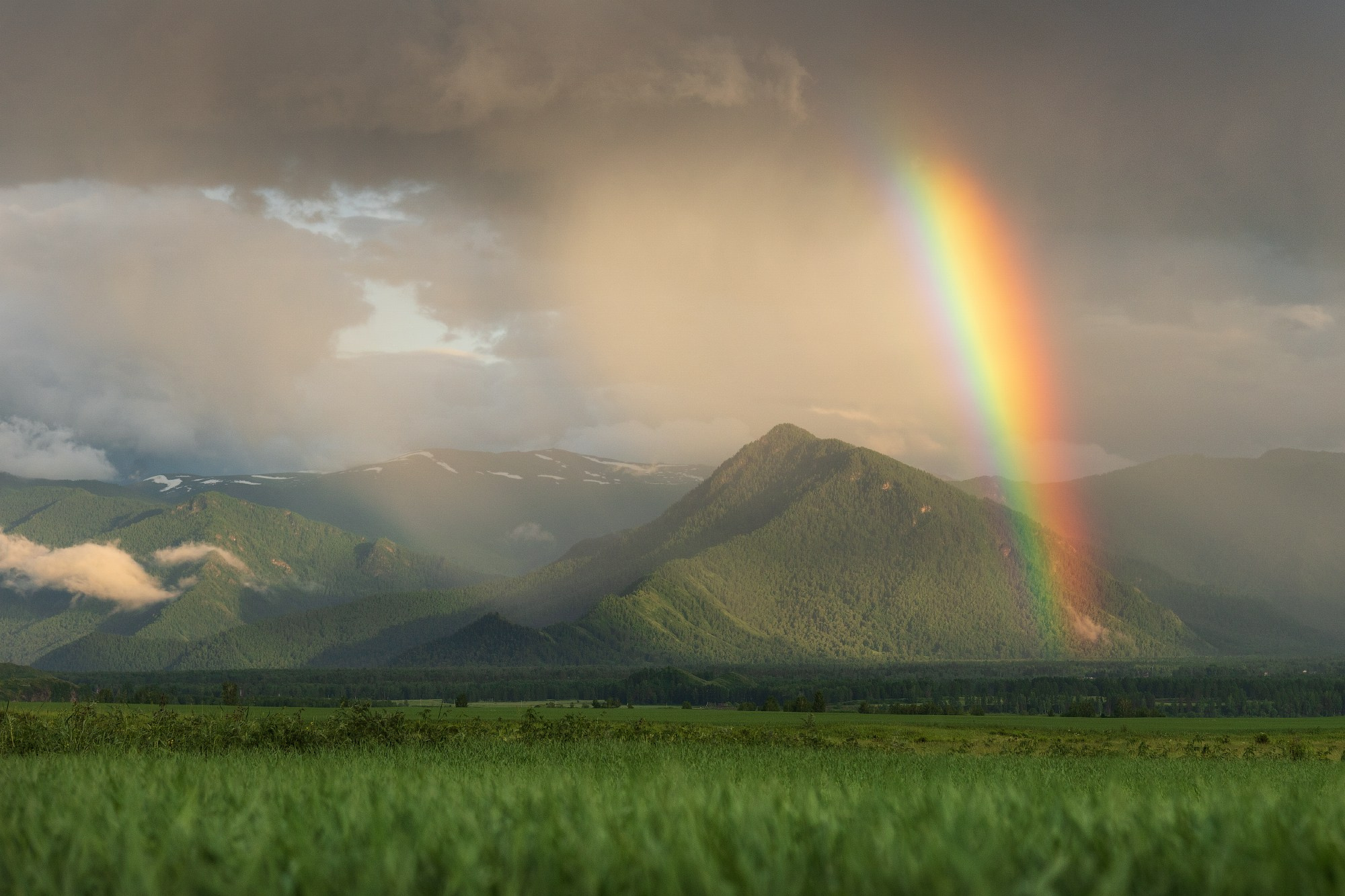 "Радуга Уймона". Усть-Коксинский район, июнь 2024