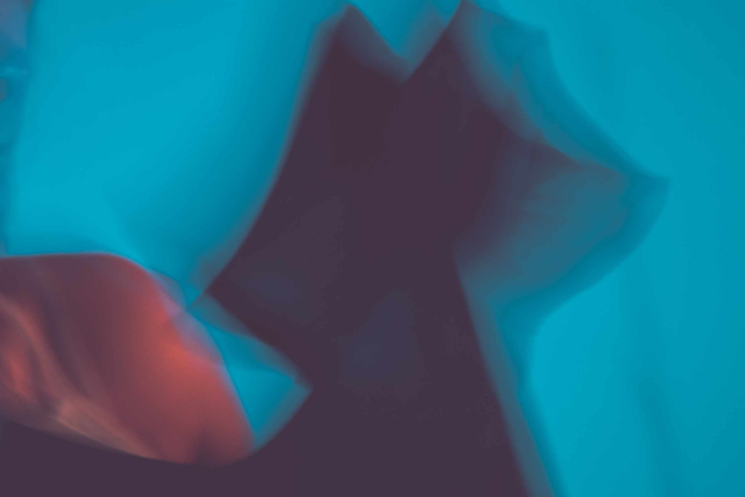 Фотограф в Казани Чебакова Александра