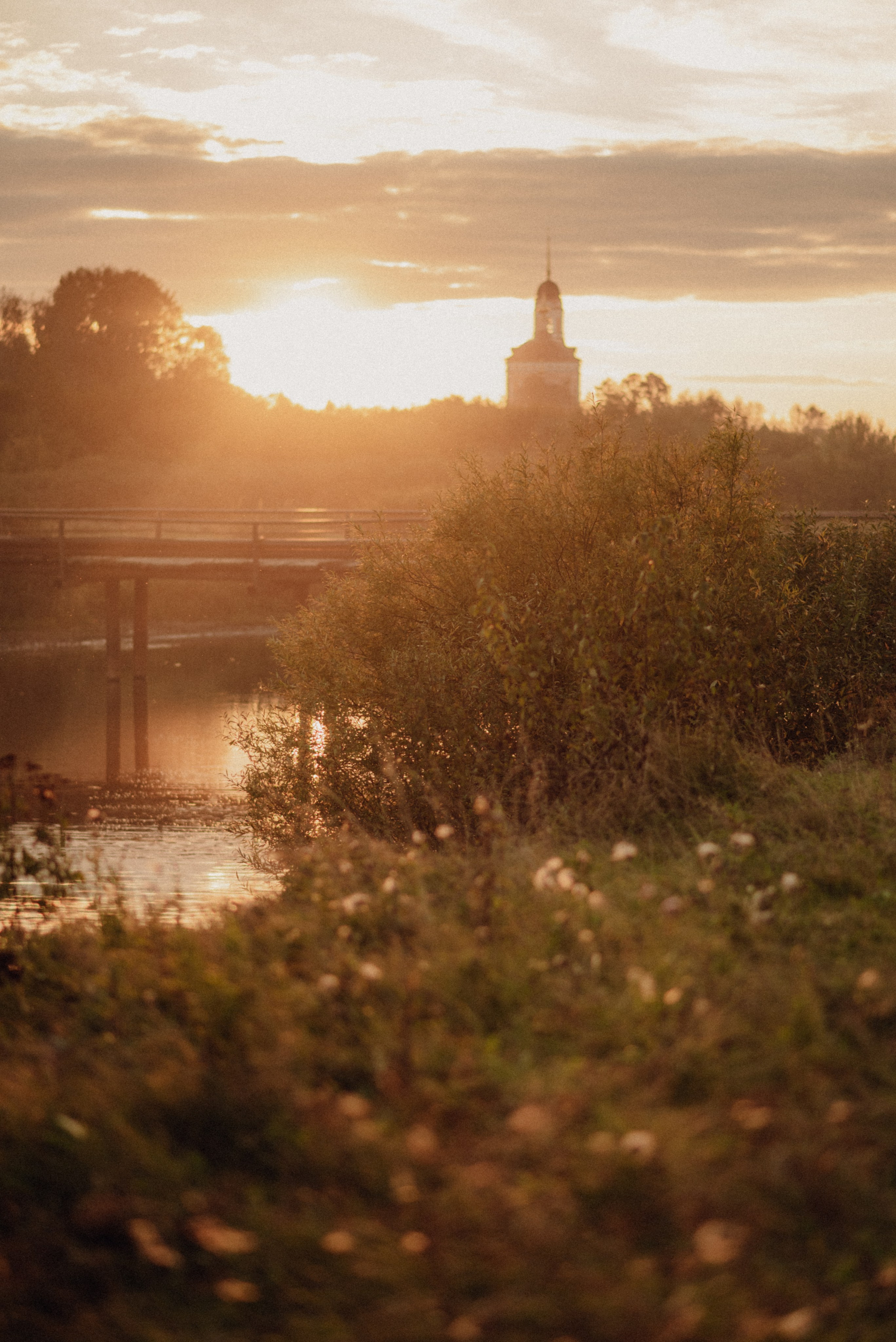 Галя, Паша, Аврора. Семейный и детский фотограф Анастасия Иванова