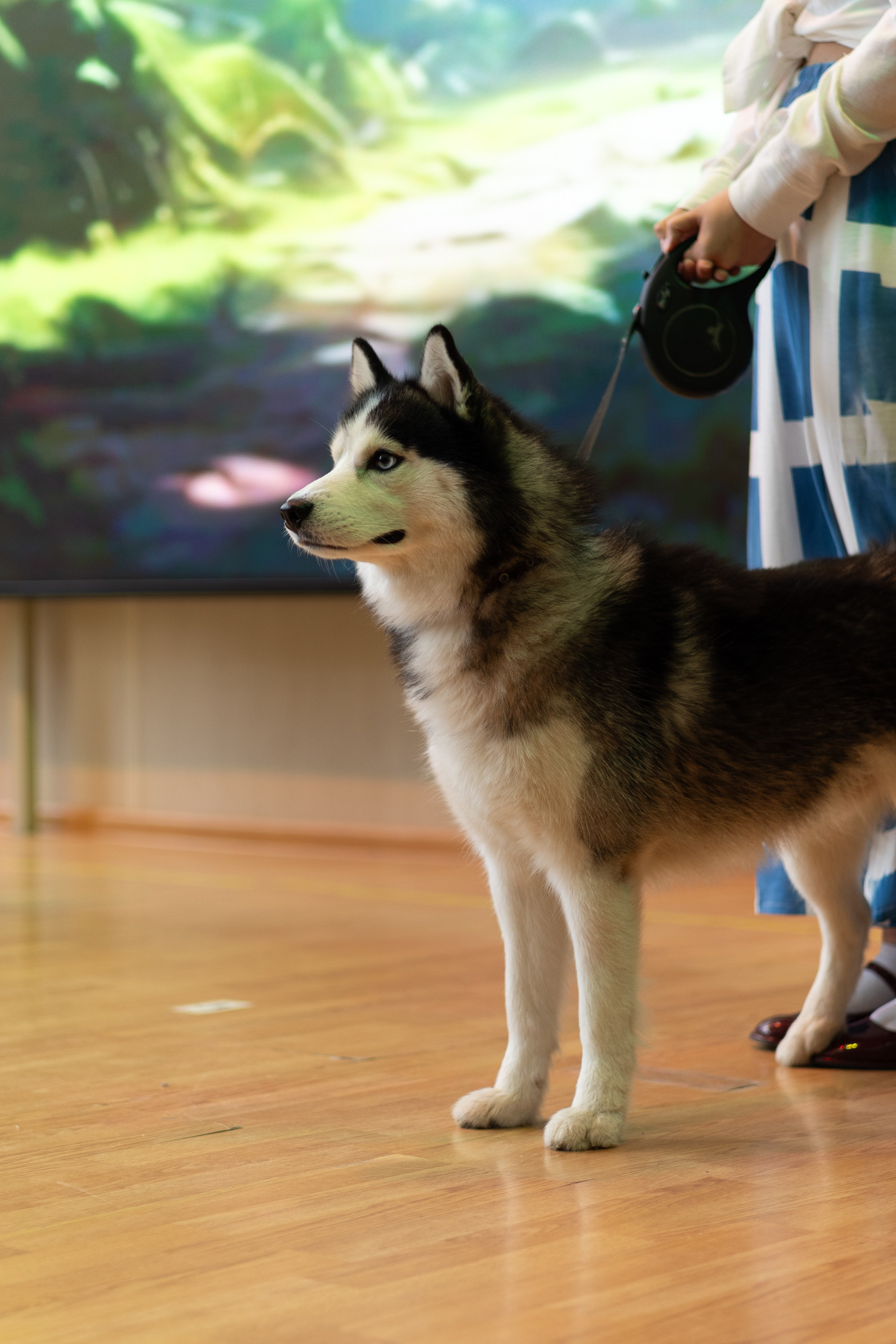 Выпускной школа 2025. Главная