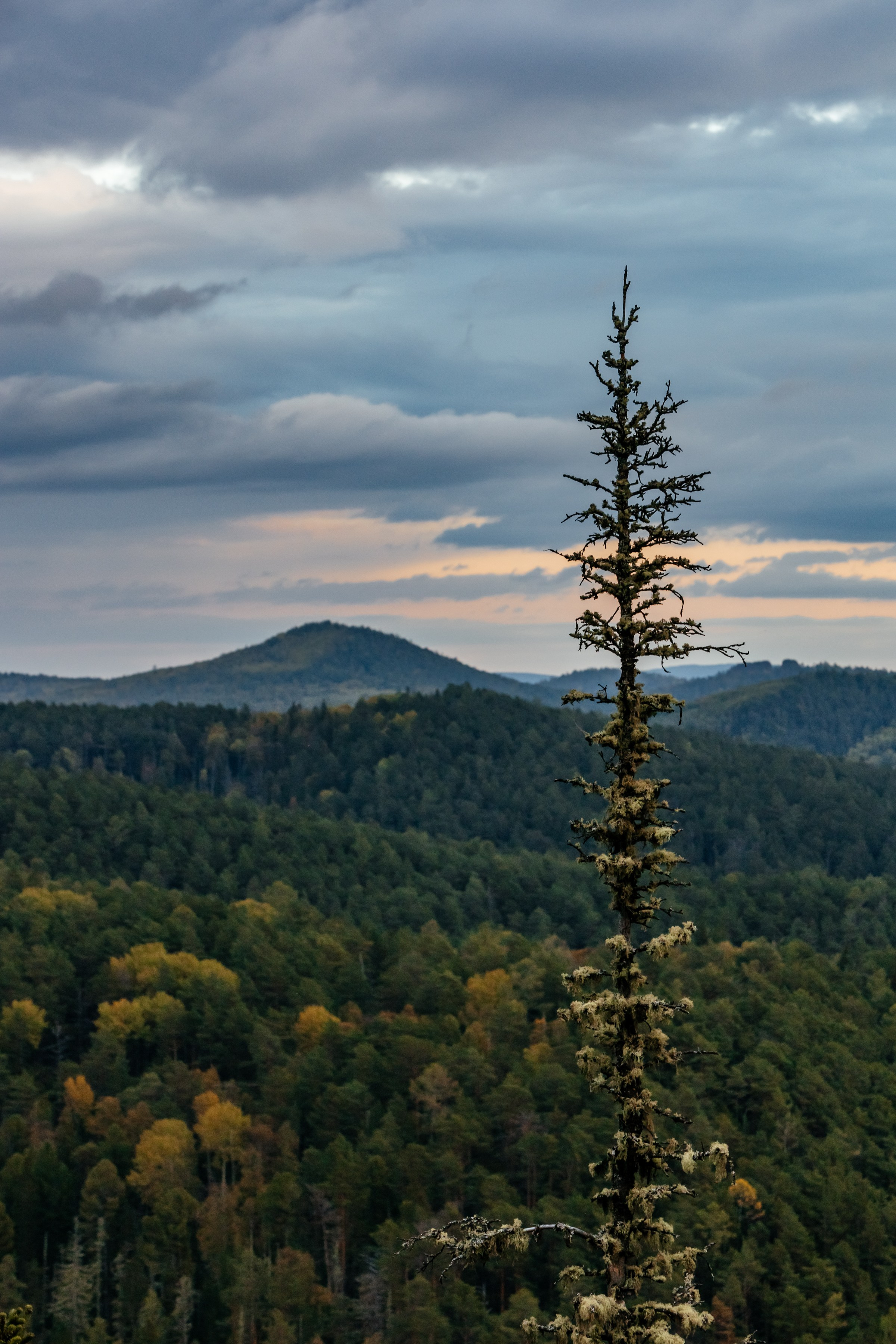 «Столбы». Фотограф в Красноярске Оксана Корчагина
