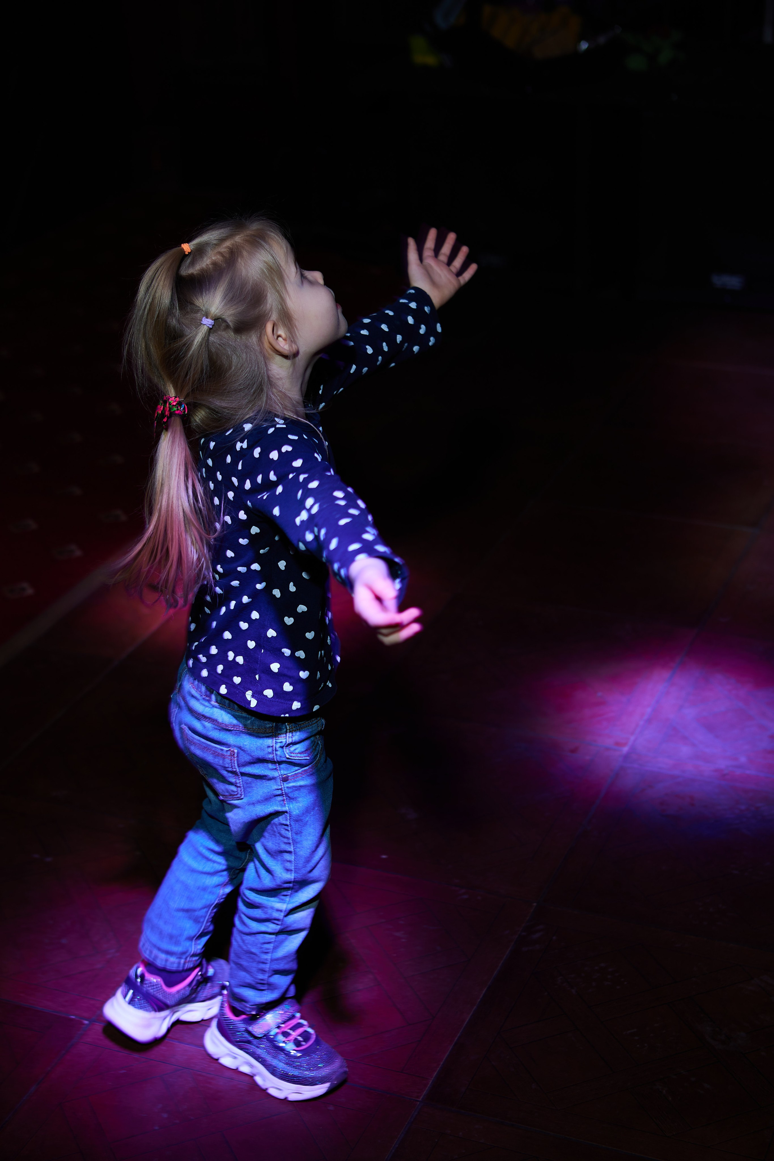 Квартирник, Юнион Джек. Светлана Родионова — фотограф спортивный и не только