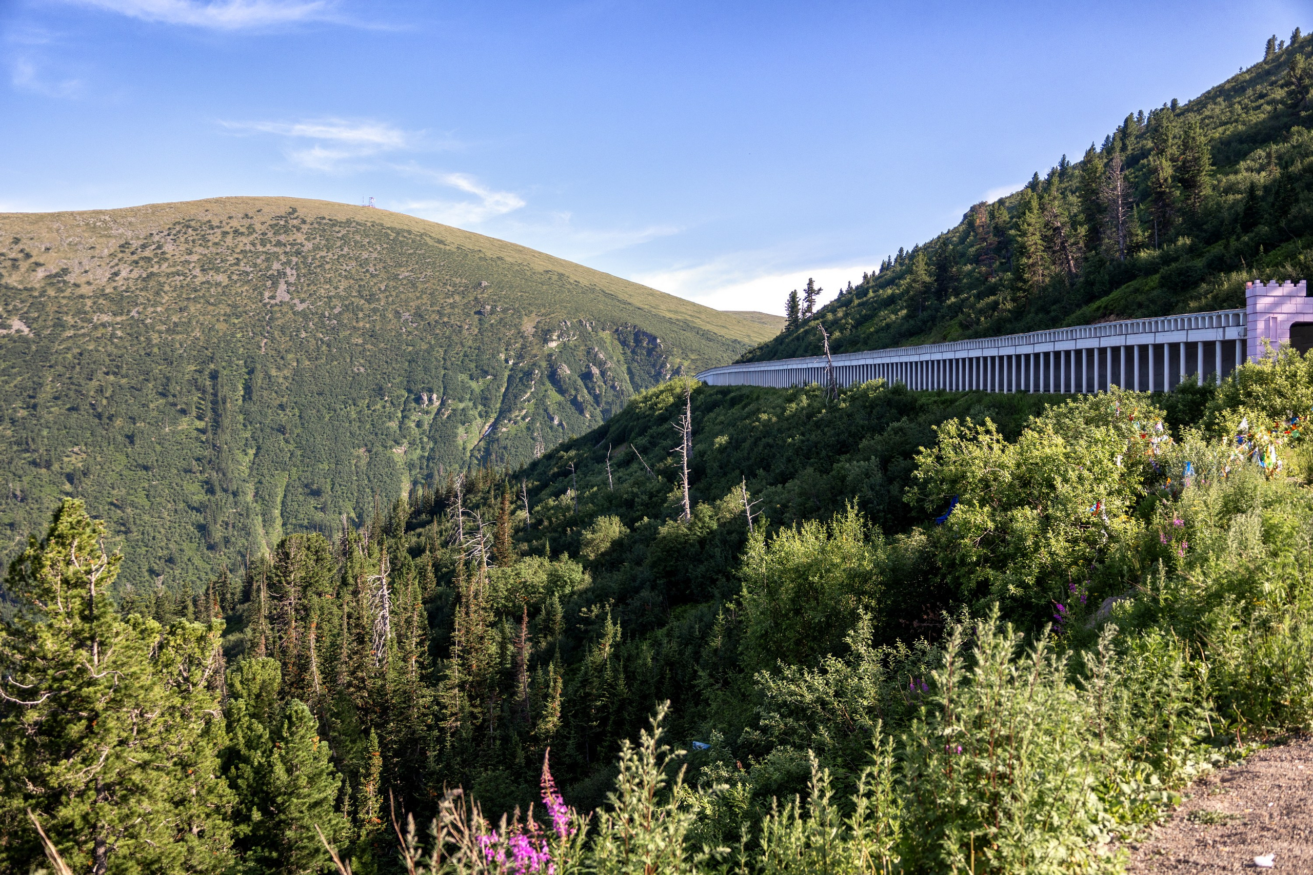Ергаки. Семейный и детский фотограф в Красноярске, Дивногорцева Светлана