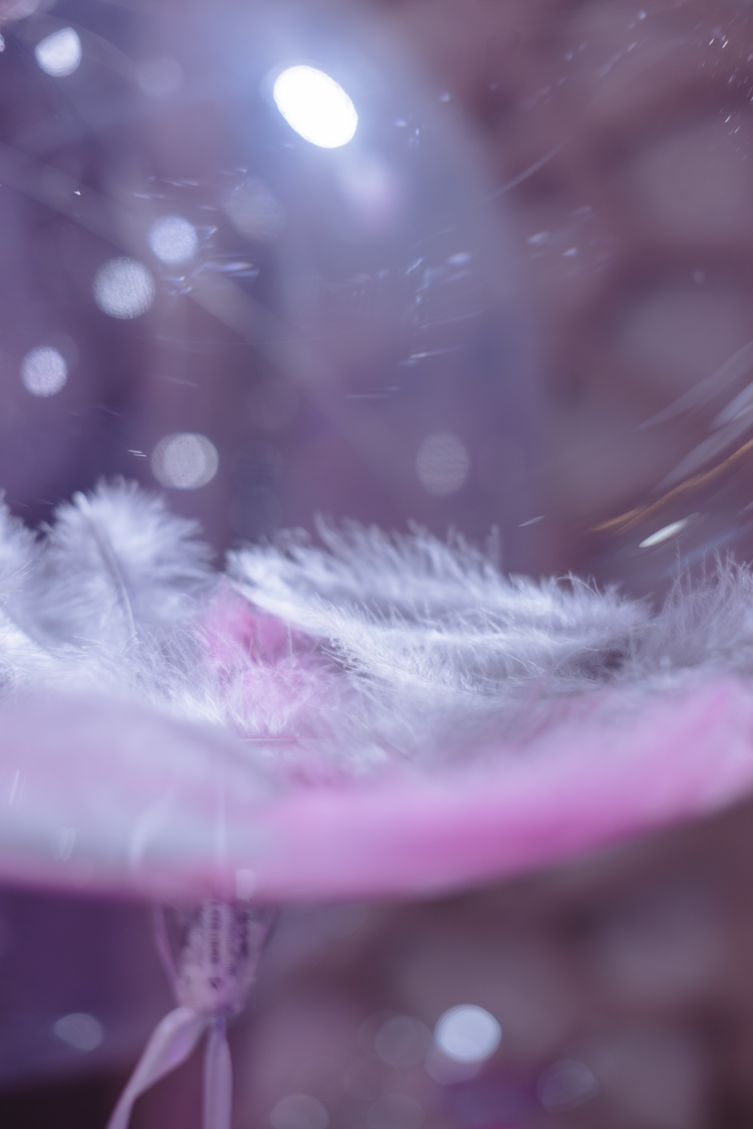 Крещение Светлана и Каролина. Фотограф Астафьева Мария