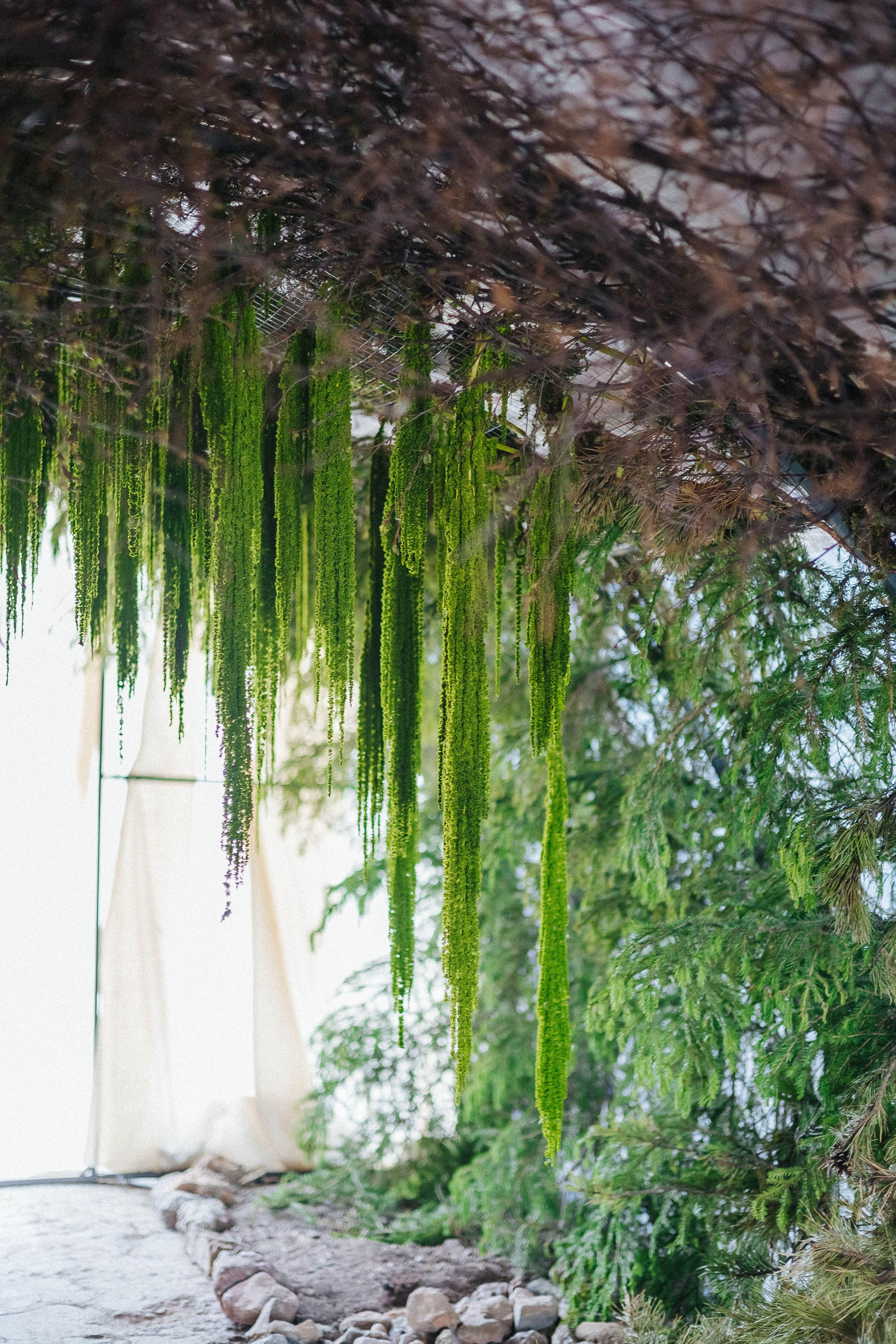 Дикий ужин. Фотограф в Красноярске Надежда Воскресенская