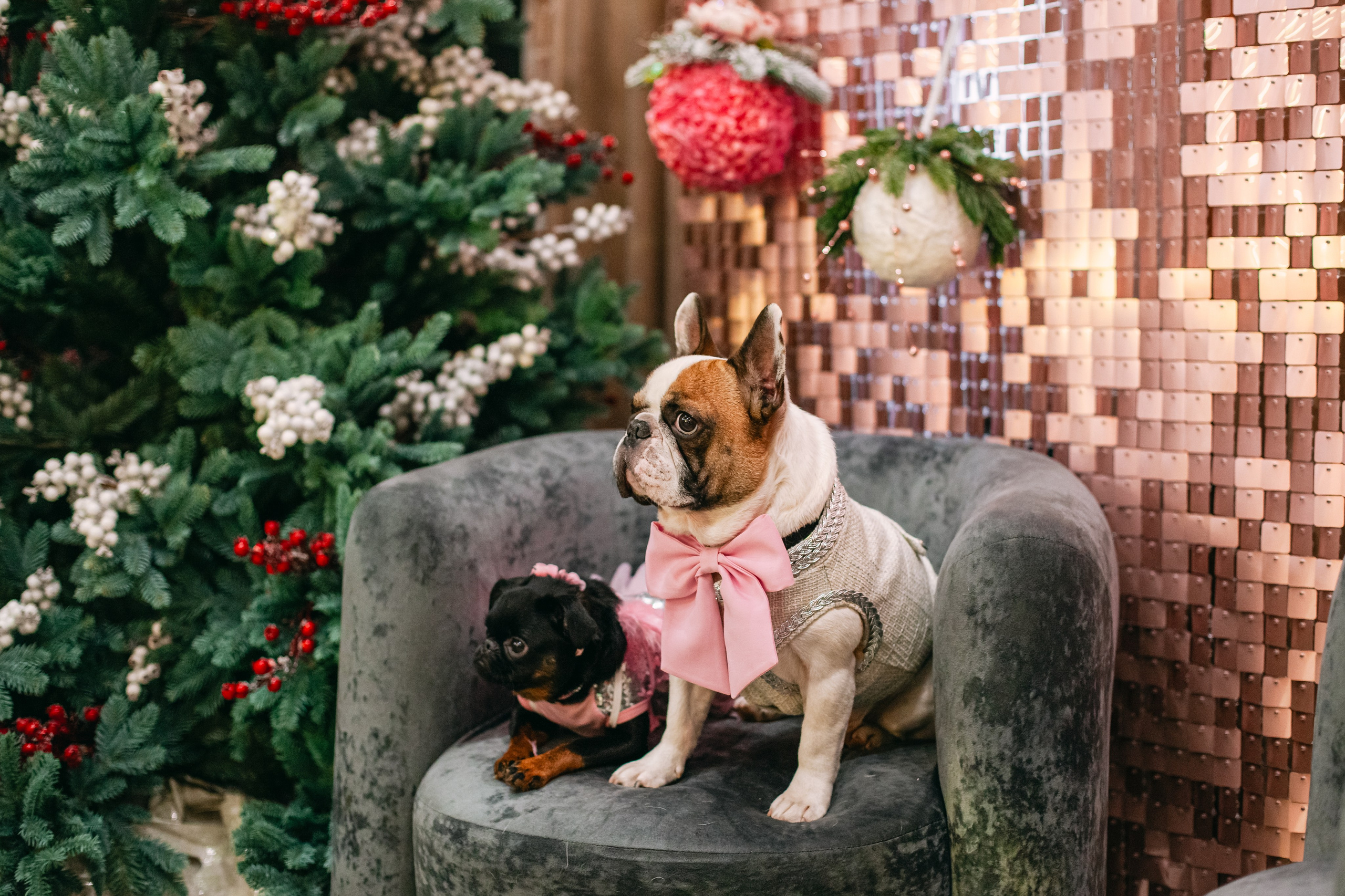 Бульёлка 2024. Фотограф-анималист Татьяна Степанова