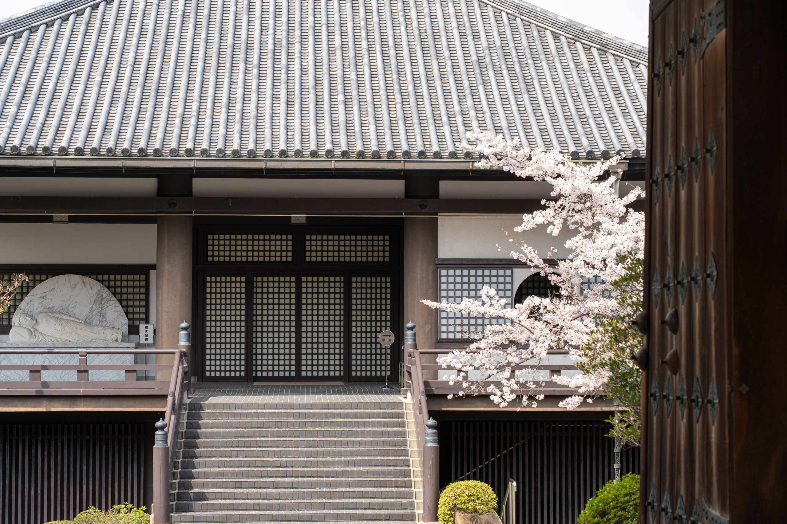 Япония, сакура. Творческие сьемки