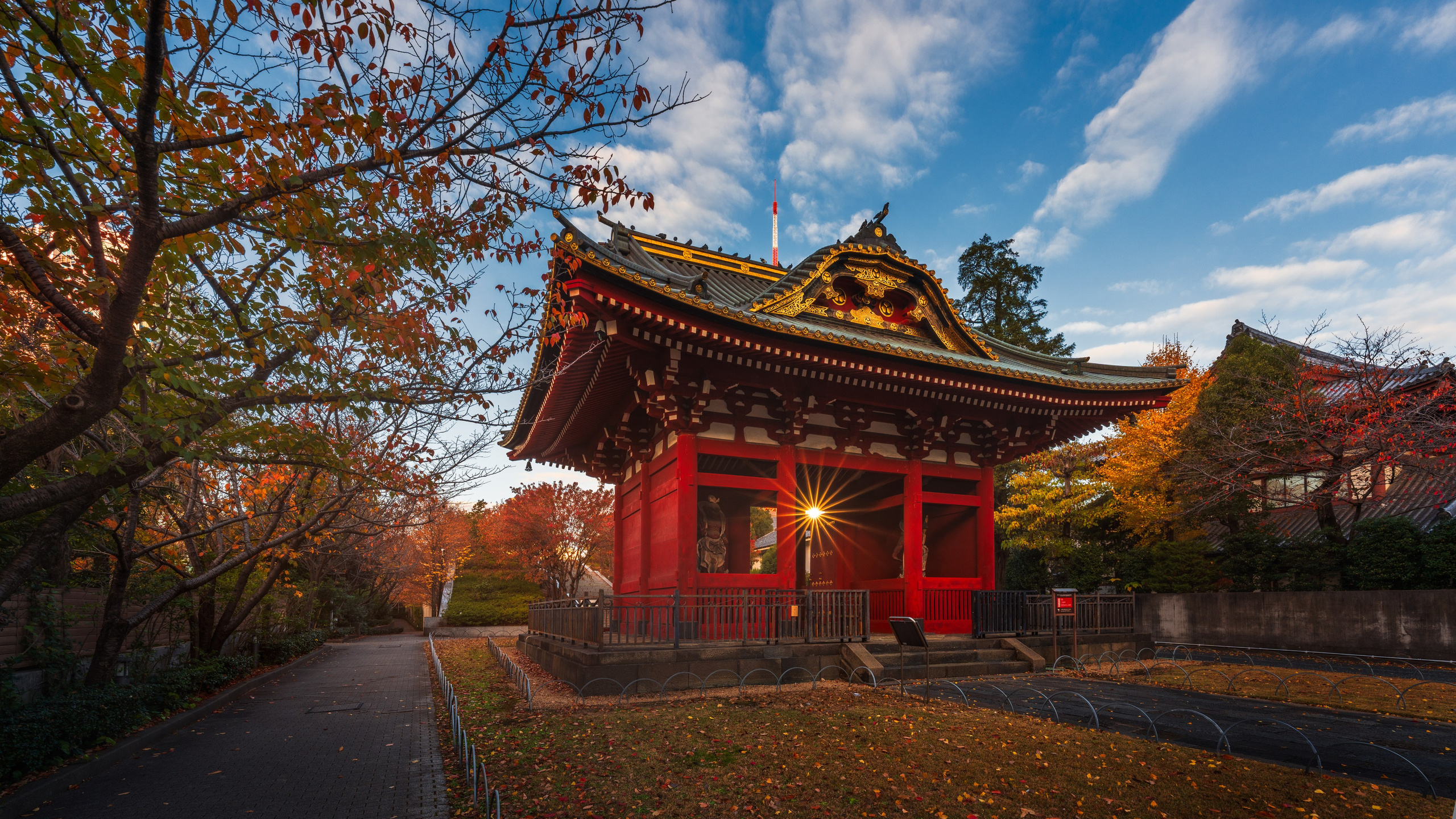 Tokyo. Serge Sadov about landscape, cityscape, travel