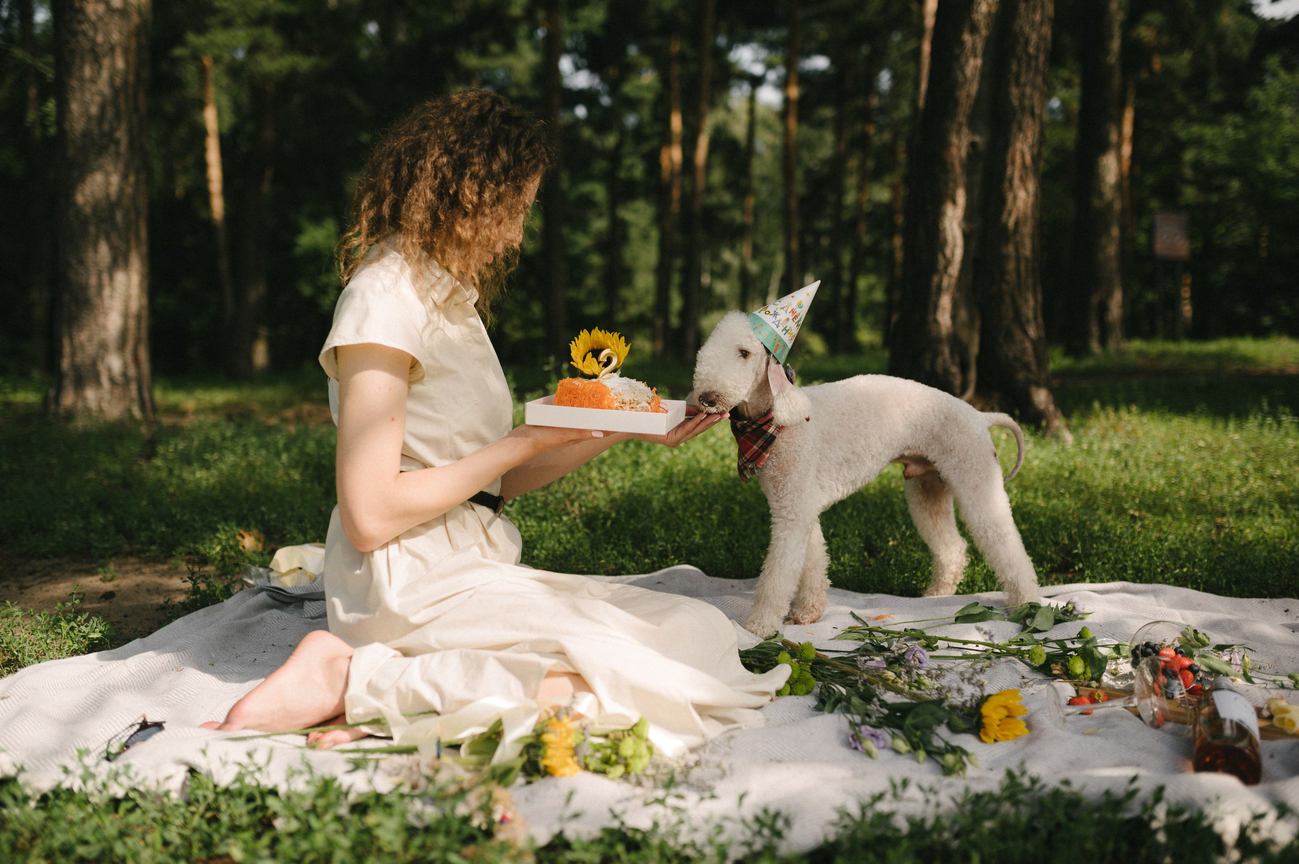 Лиза и Каспер. Фотограф анималист в Москве Ольга Агушева