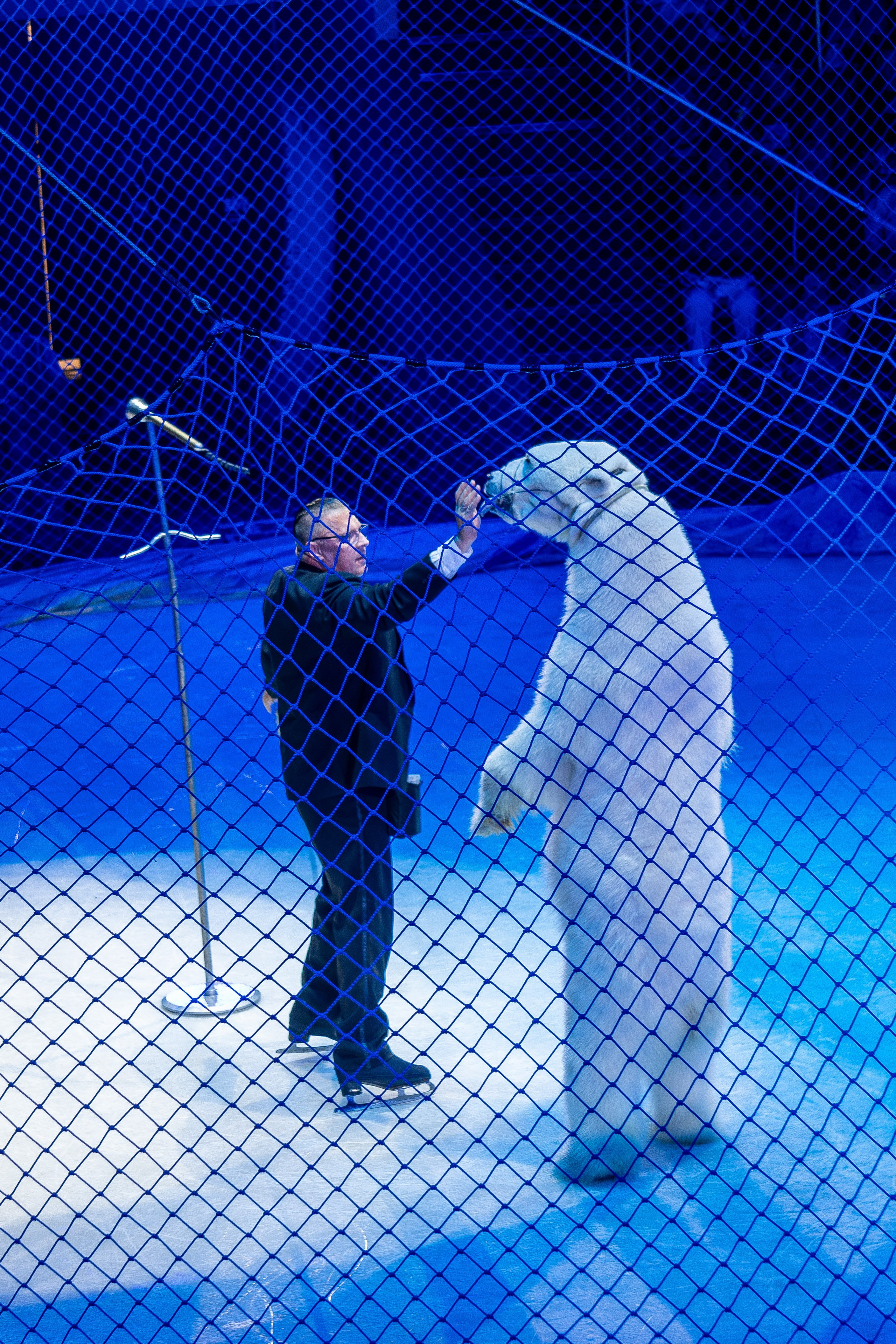 Цирк на льду «Айсберг» в Луганске. Фотограф в РФ и ЛНР Юлия Федосеева