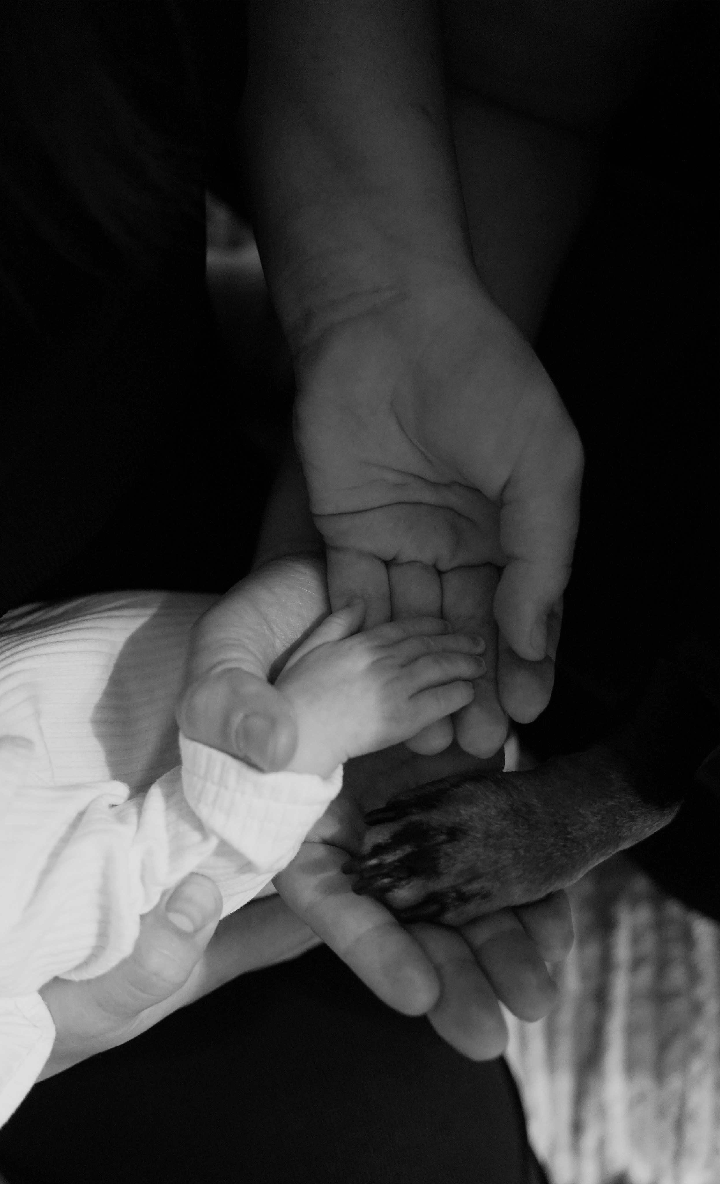 Полина, Михаил и Анечка. Добро пожаловать в мир самого прекрасного — в мир фотографии!