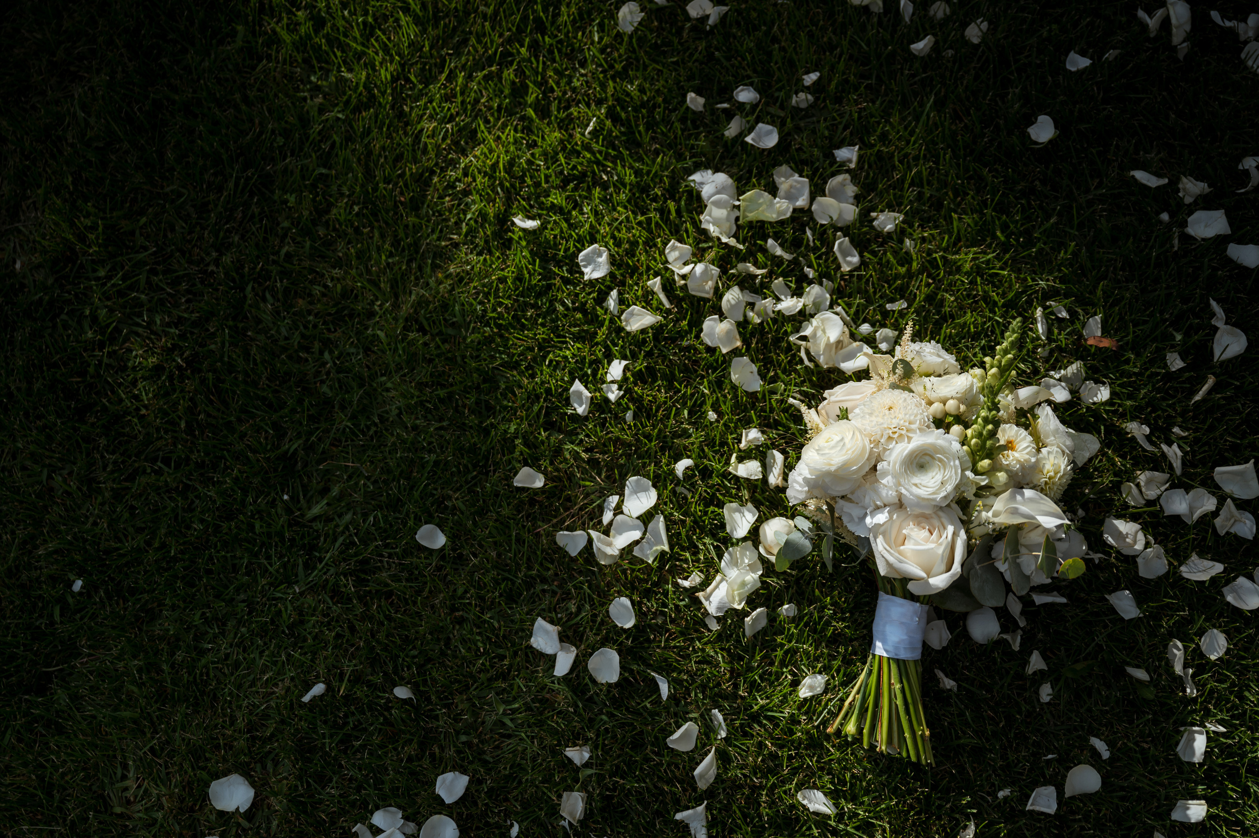 Татьяна и Данила. Свадебный и портретный фотограф в Белгороде Олеся Гавшина