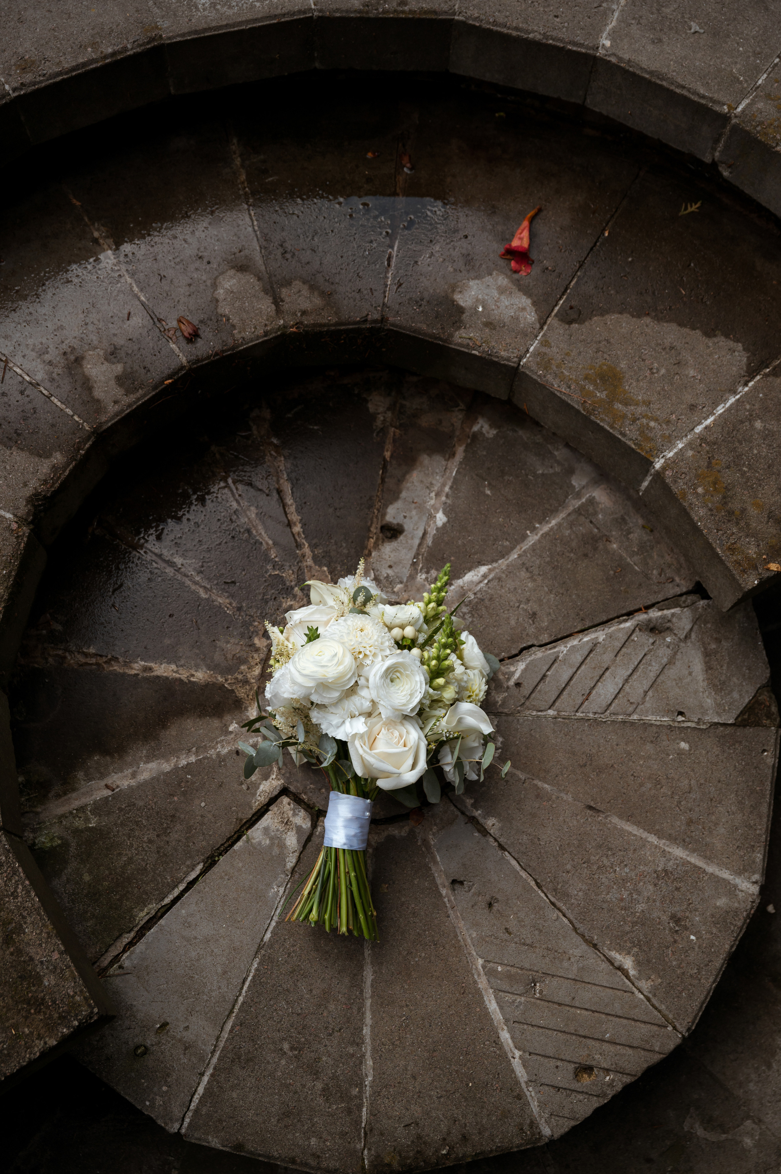 Татьяна и Данила. Свадебный и портретный фотограф в Белгороде Олеся Гавшина