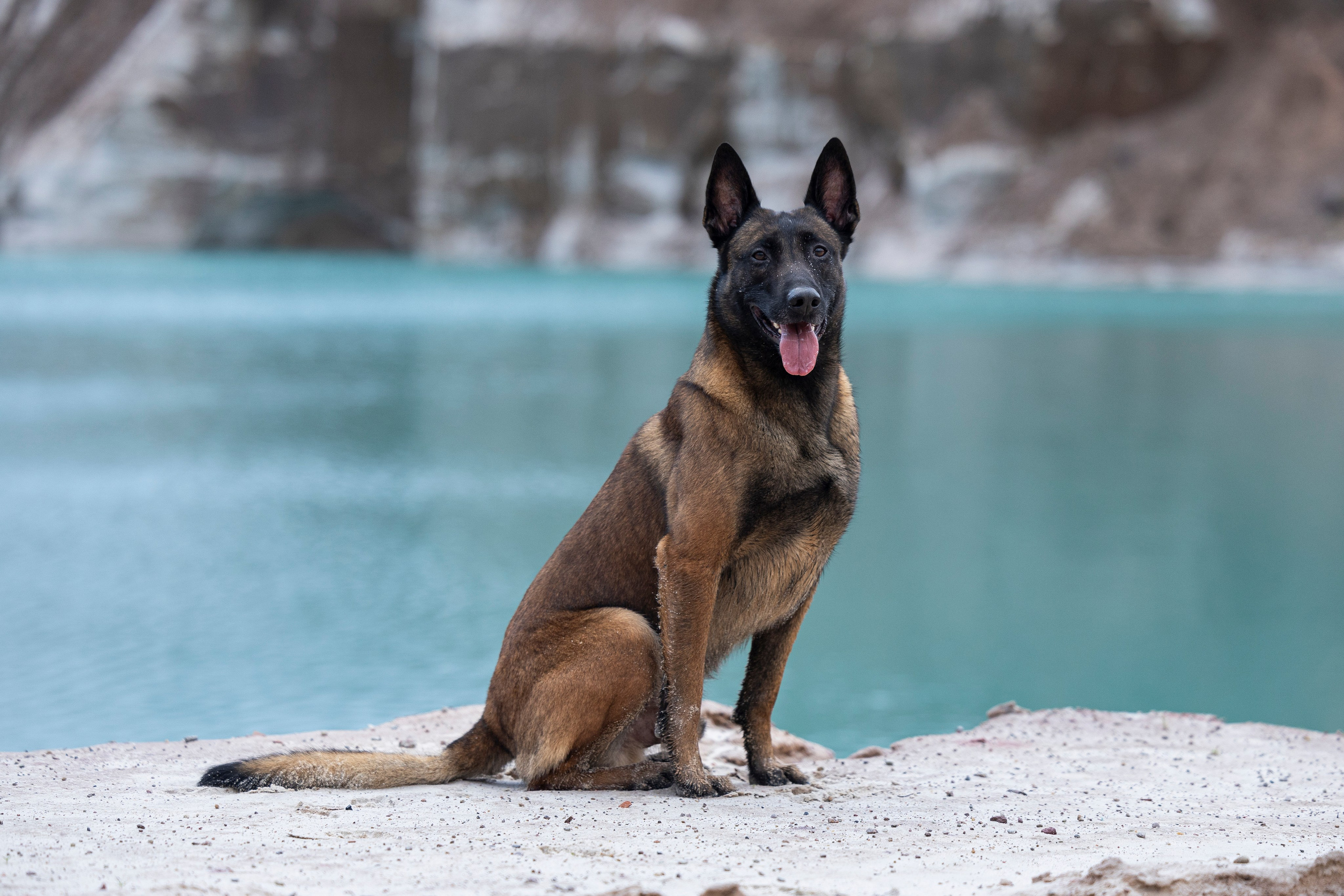 Лужские Мальдивы. Фотограф-анималист Анна Маринич