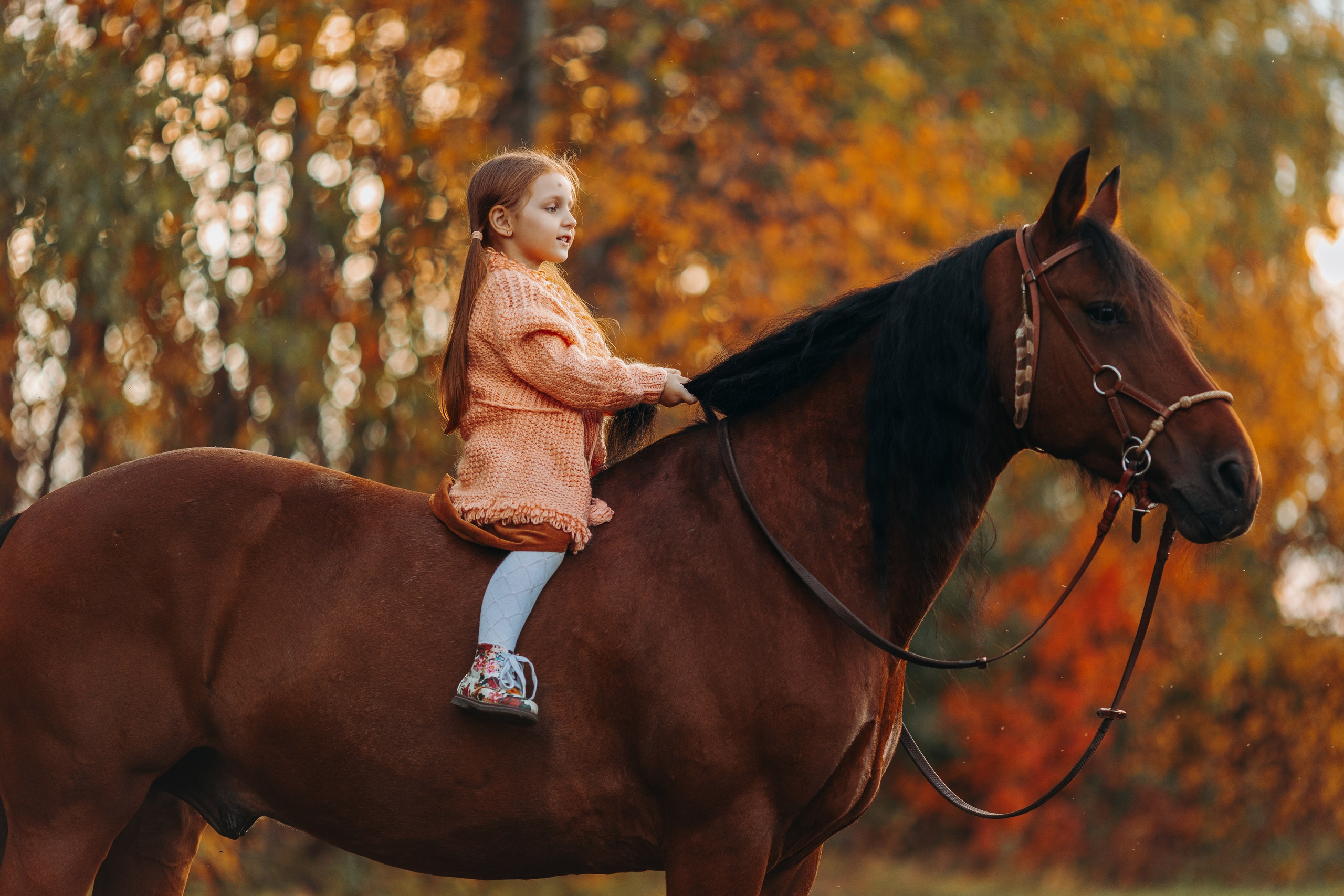 Для фотографов. Анна Молчанова конный фотограф в Тюмени | фотосессии с лошадьми Тюмень