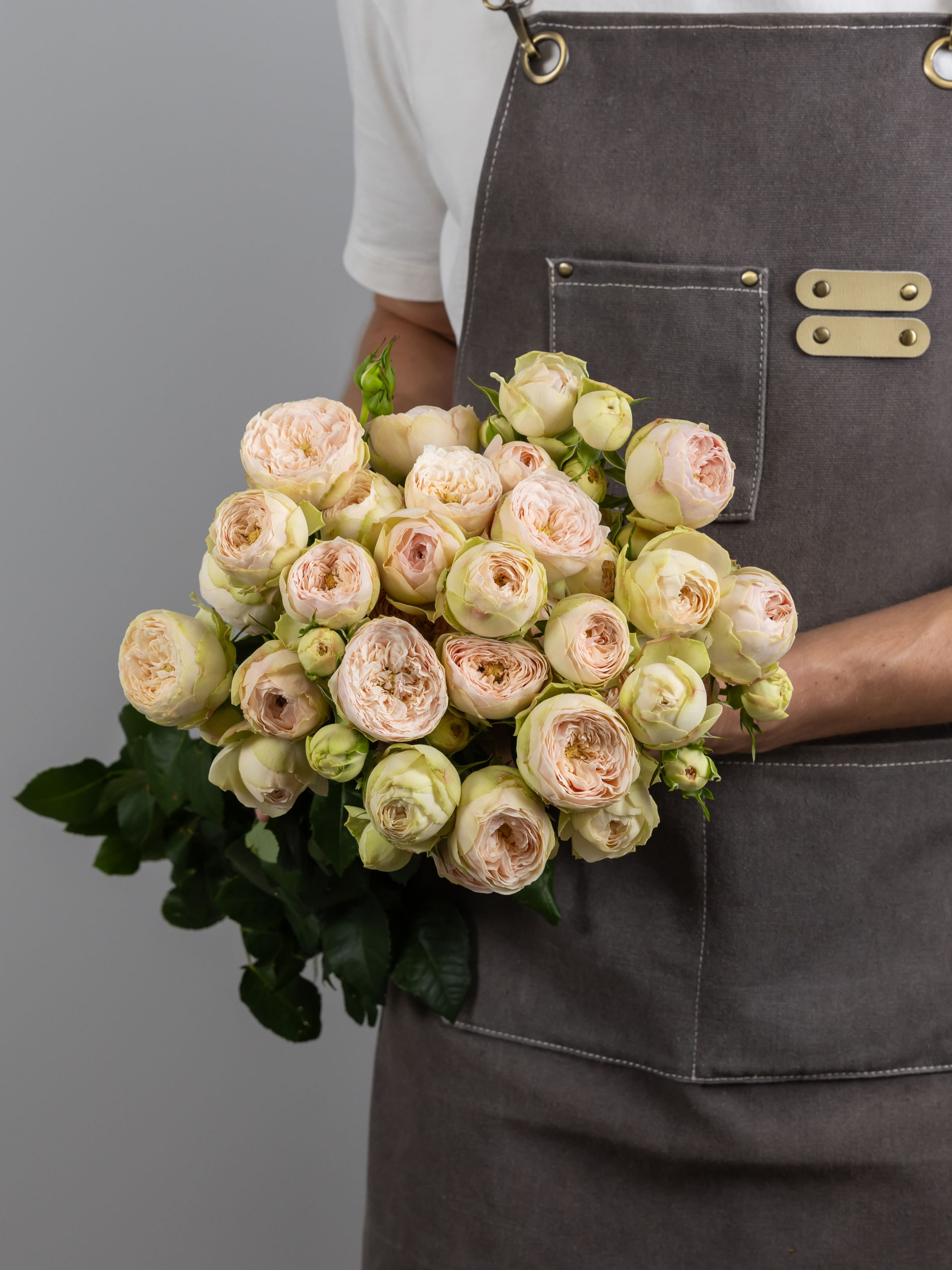 04.08.2025 Фотосессия сортов Цветополис. ФОТОГРАФ ВИНОГРАДОВА ДАРЬЯ