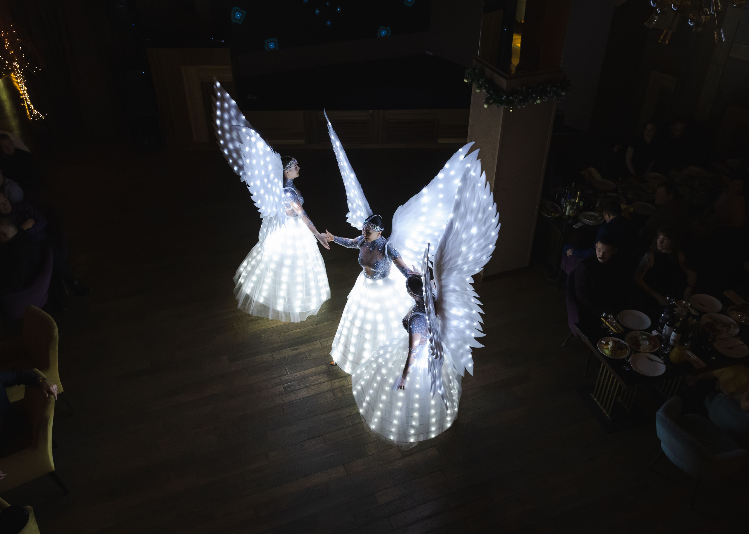 Предновгодка Кипарис 2024. ФОТОГРАФ ВИНОГРАДОВА ДАРЬЯ