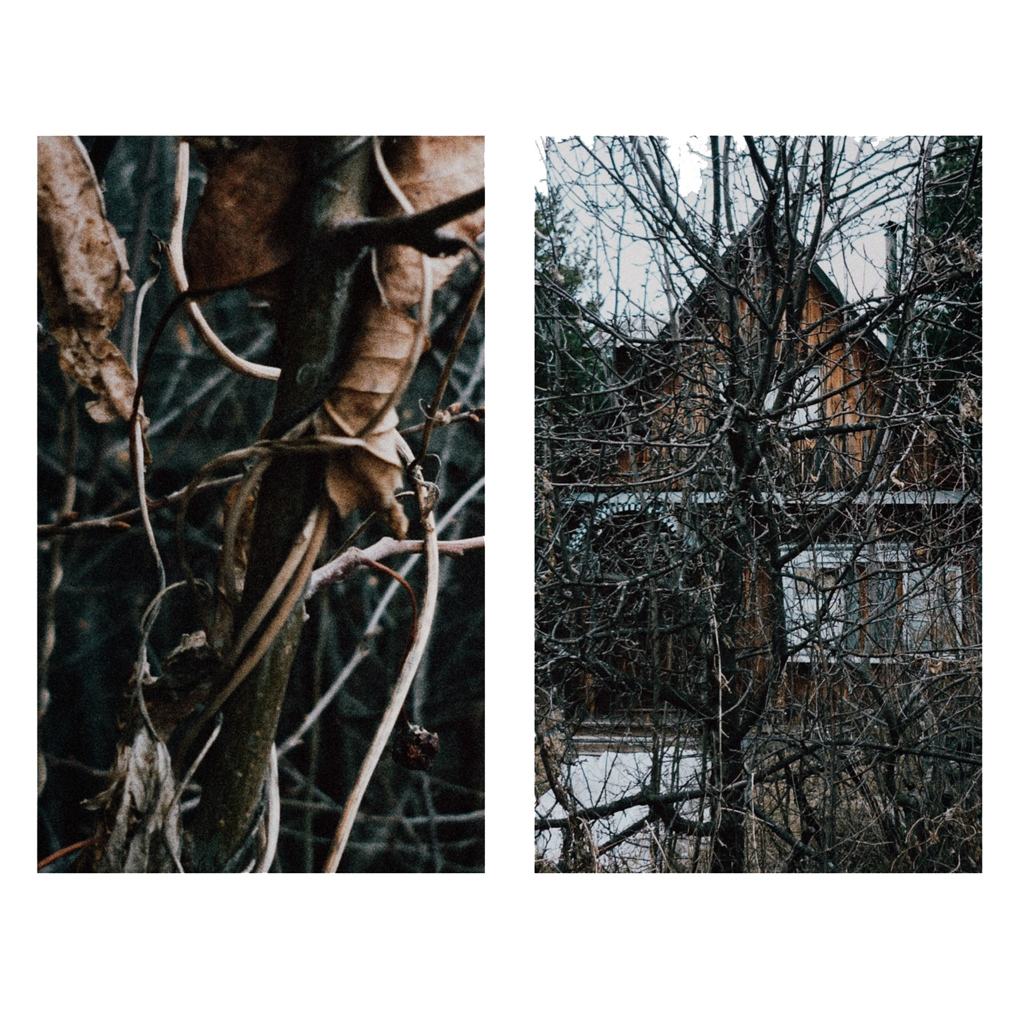 Художественная фотосессия в стиле Ню в Тюмени — Лунная — Дарья Мустафина. Фотограф Дарья Мустафина, Тюмень