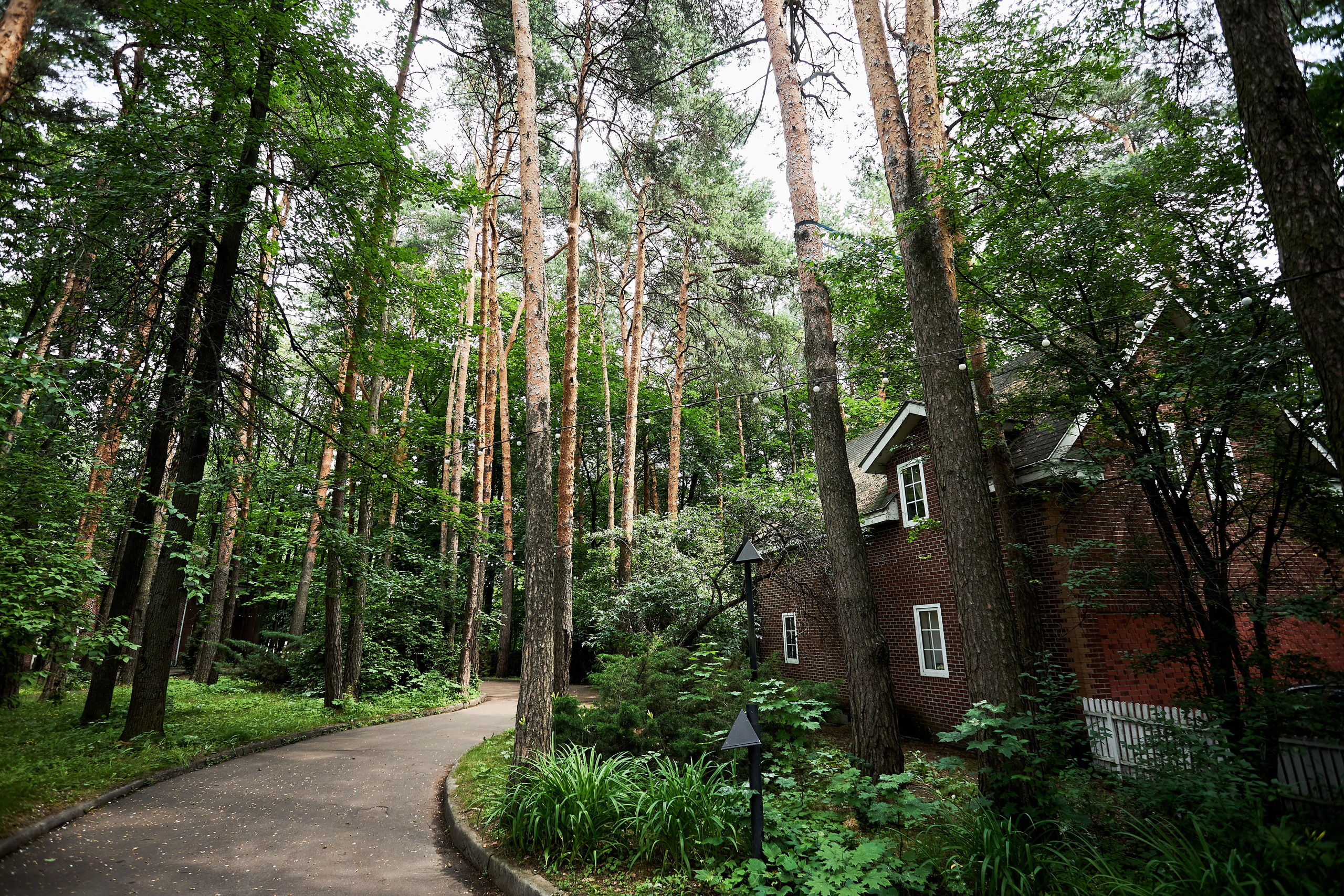 Владимир и Юлия. Репортажный Фотограф Москва Дарья Лунева