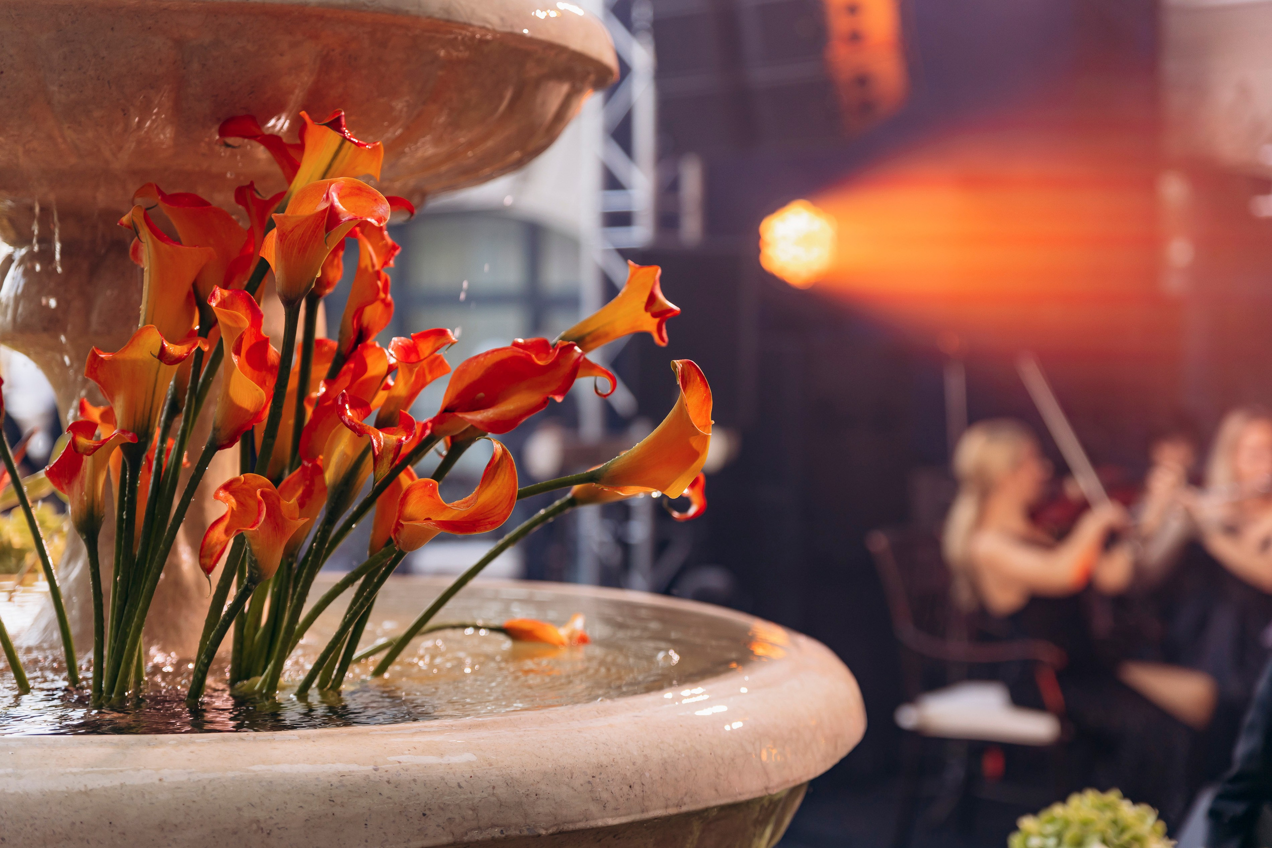 Открытие отеля Royal Lions Grand Hotel 15 сентября 2024. Фотограф в Калининграде свадебная фотография, репортажная, фотосессии