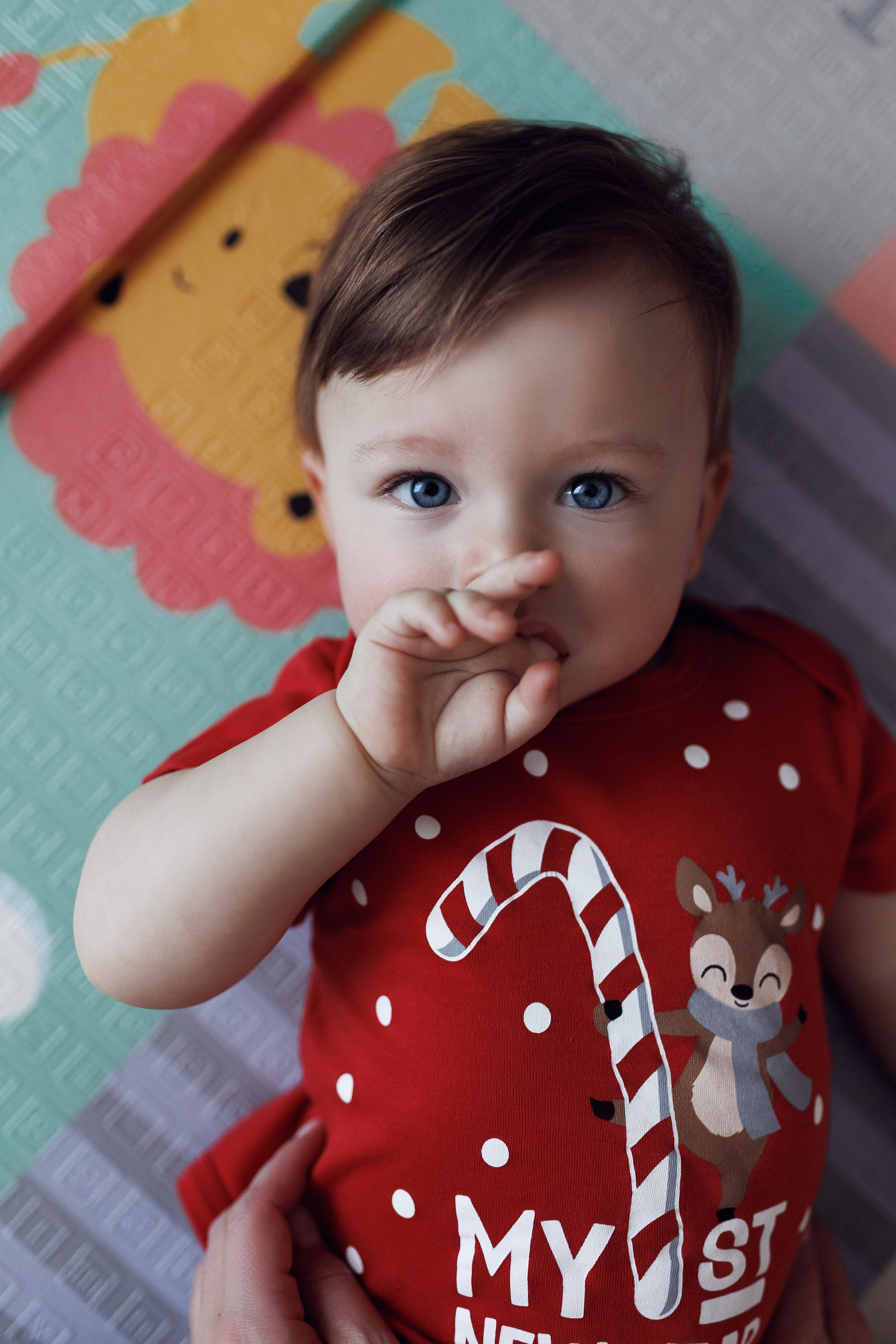 Даня, Алёна, Лёва и таксы. Настя Оленченко, портретный/семейный фотограф на цифру и плёнку Москва