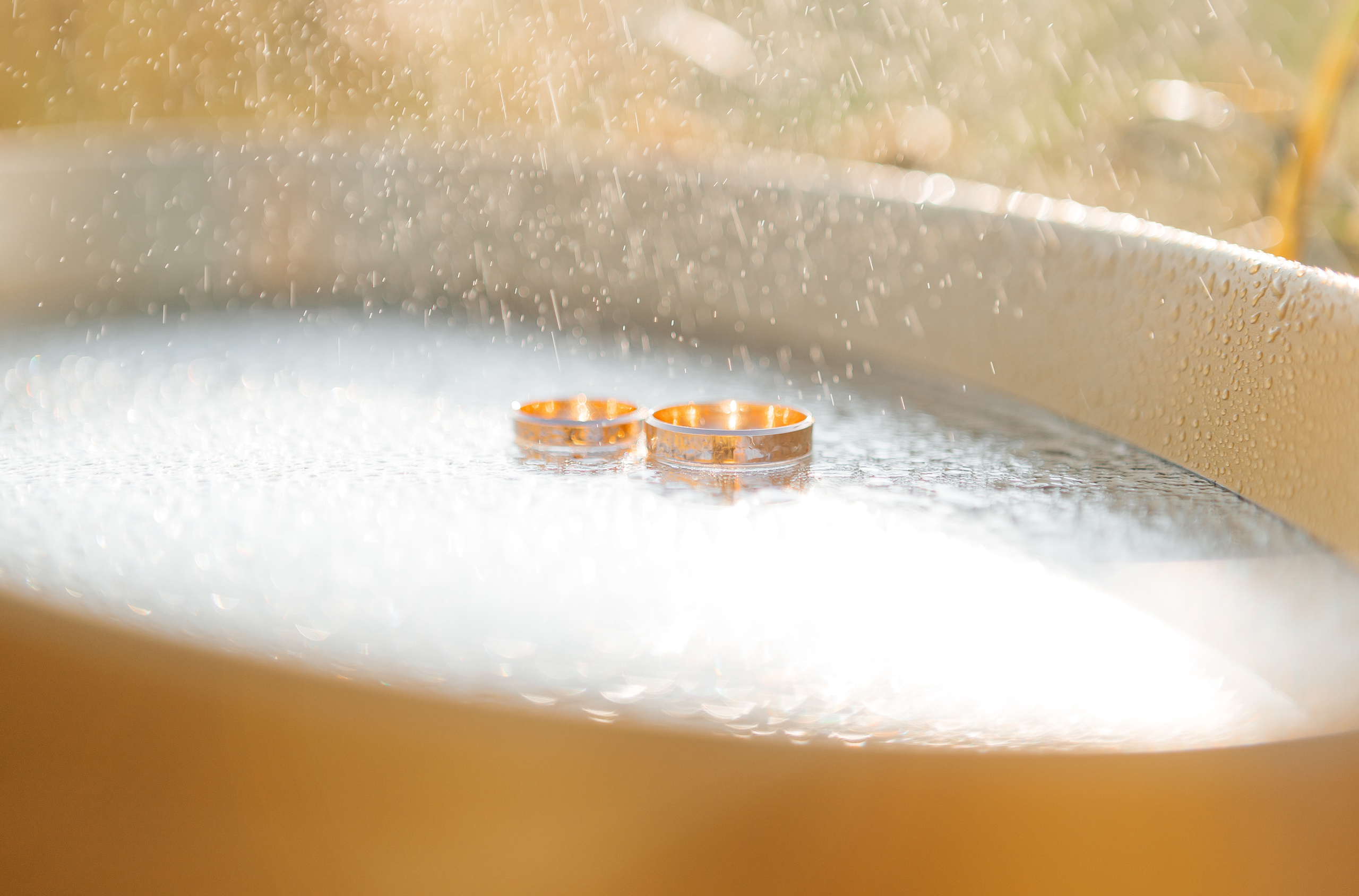 Свадебный день Александра и Вероники. Семейный и свадебный фотограф в Волгограде Мария Богданова