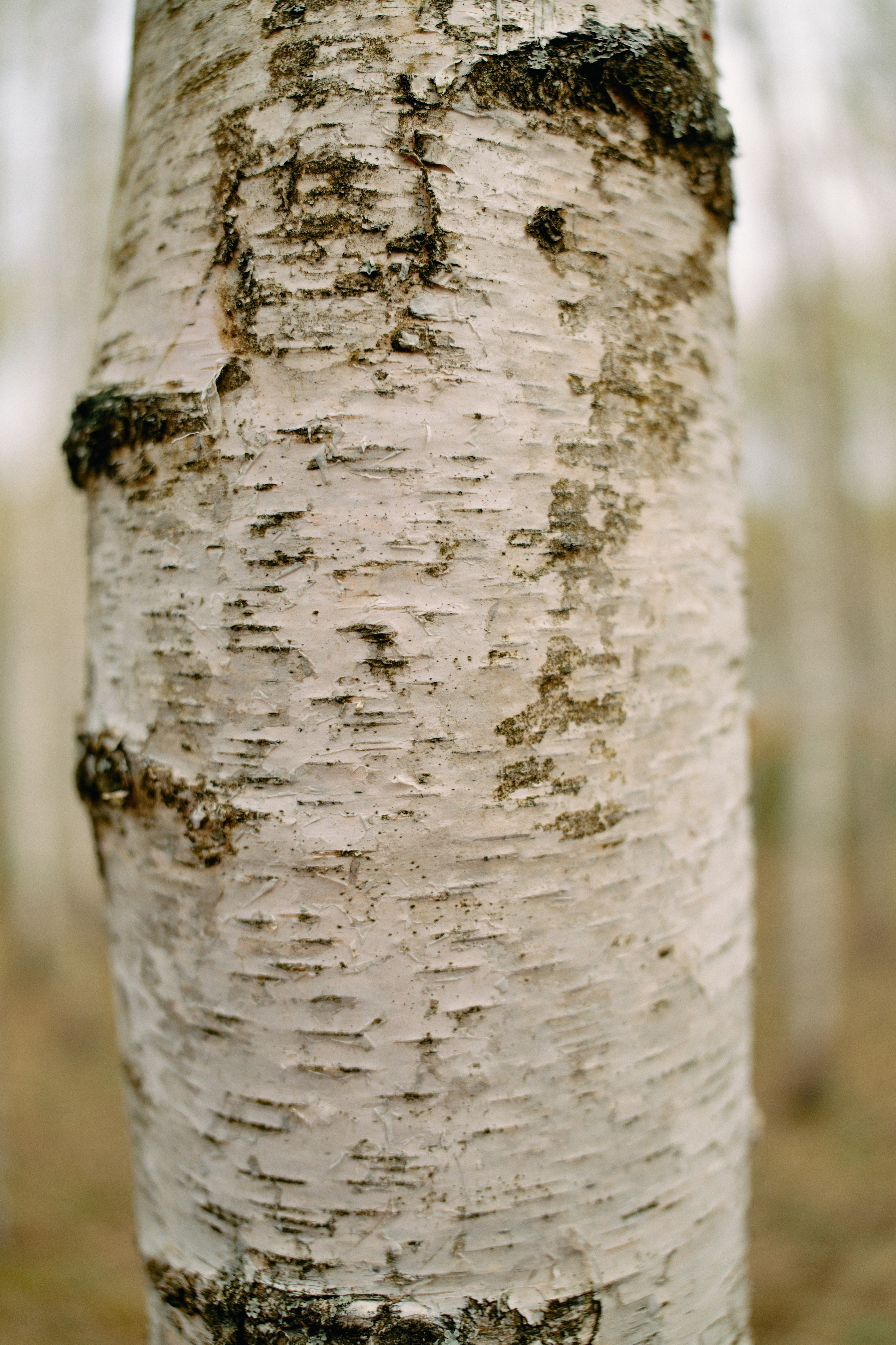 Бутик-отель Поле летом. Профессиональный Фотограф во Владимире, в Москве и в Суздале — Полина Романычева