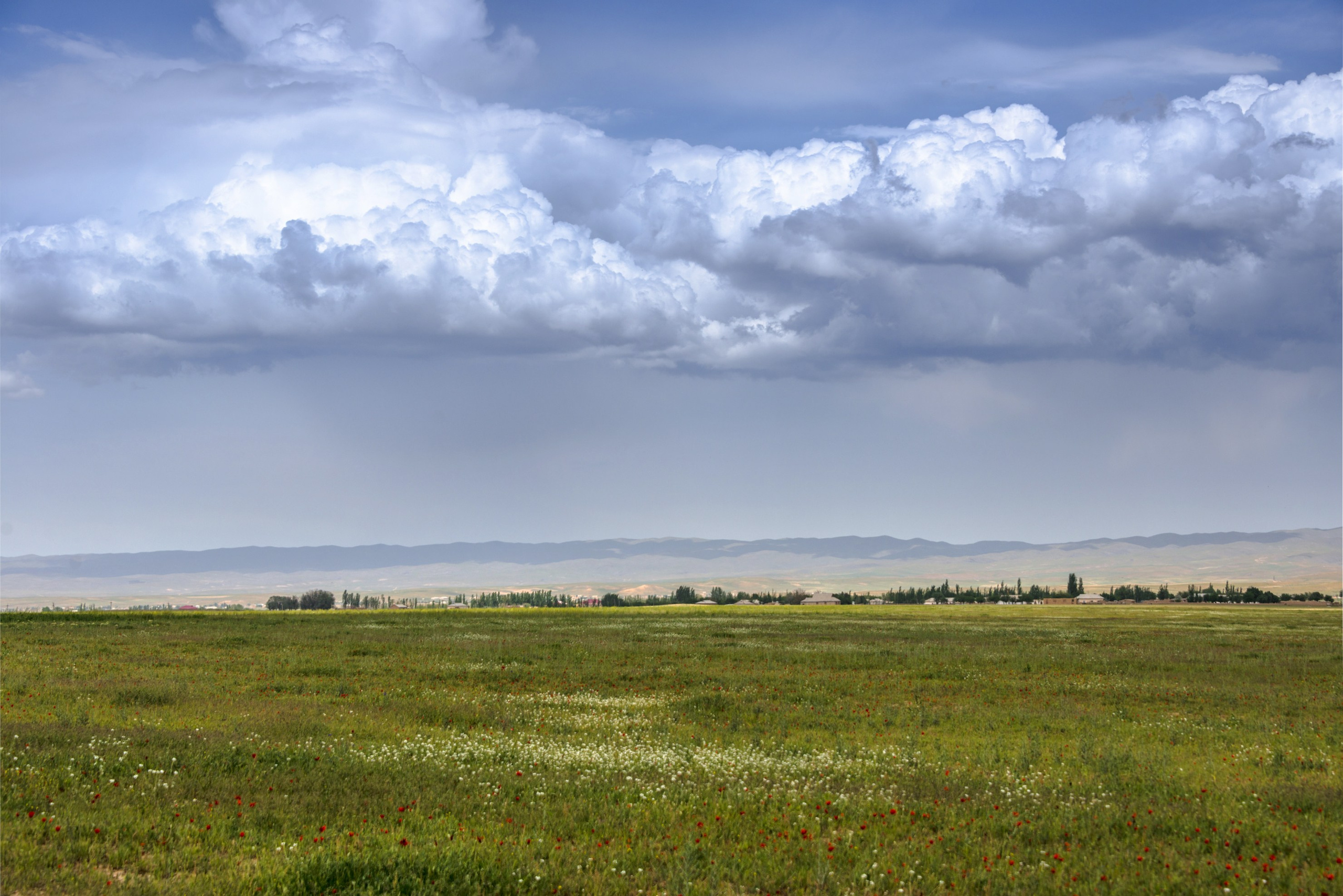 Пустыня Кызылкум. Фотограф Лара Кучина