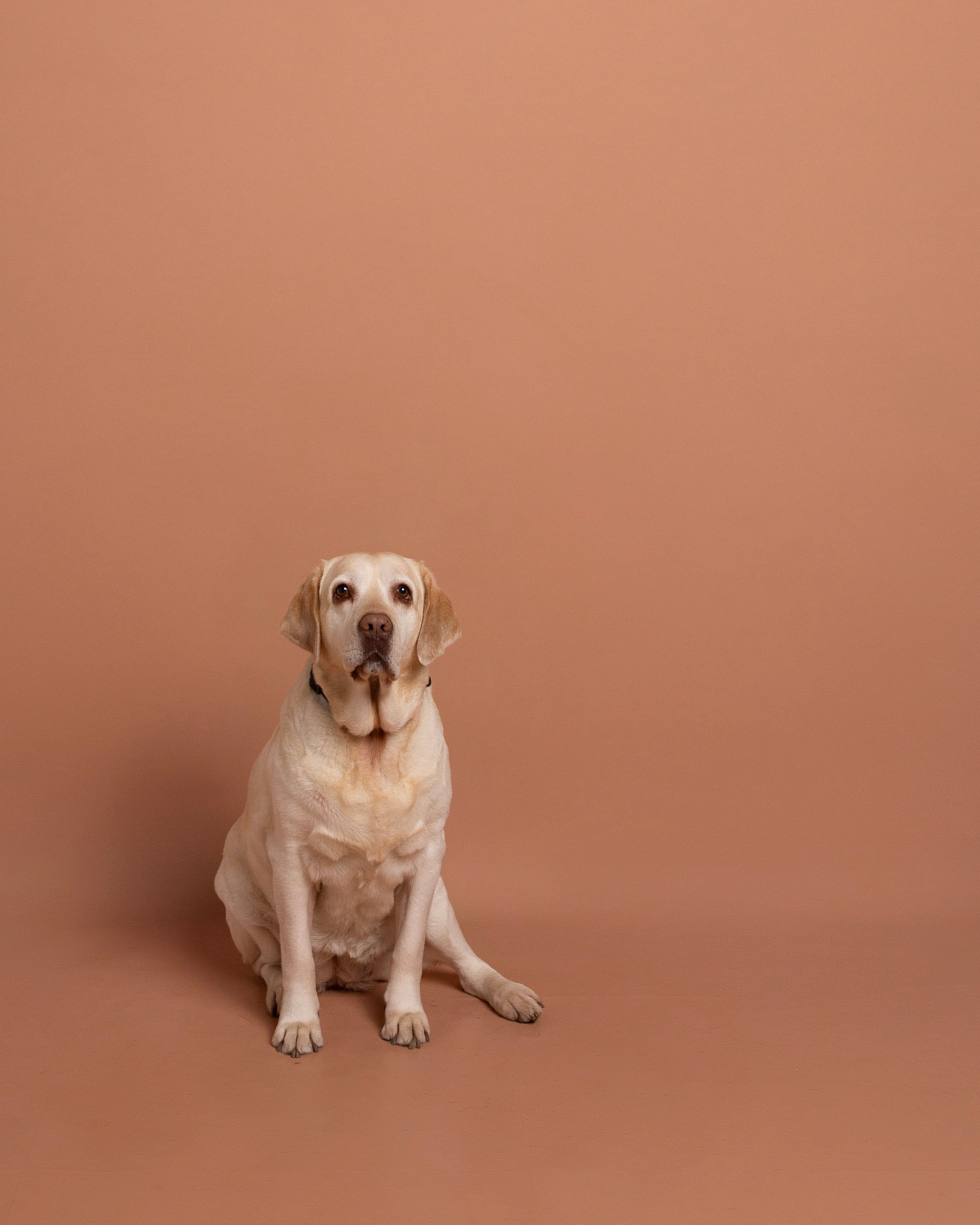 Автопортретная фотостудия «Fotomaris» в Самаре