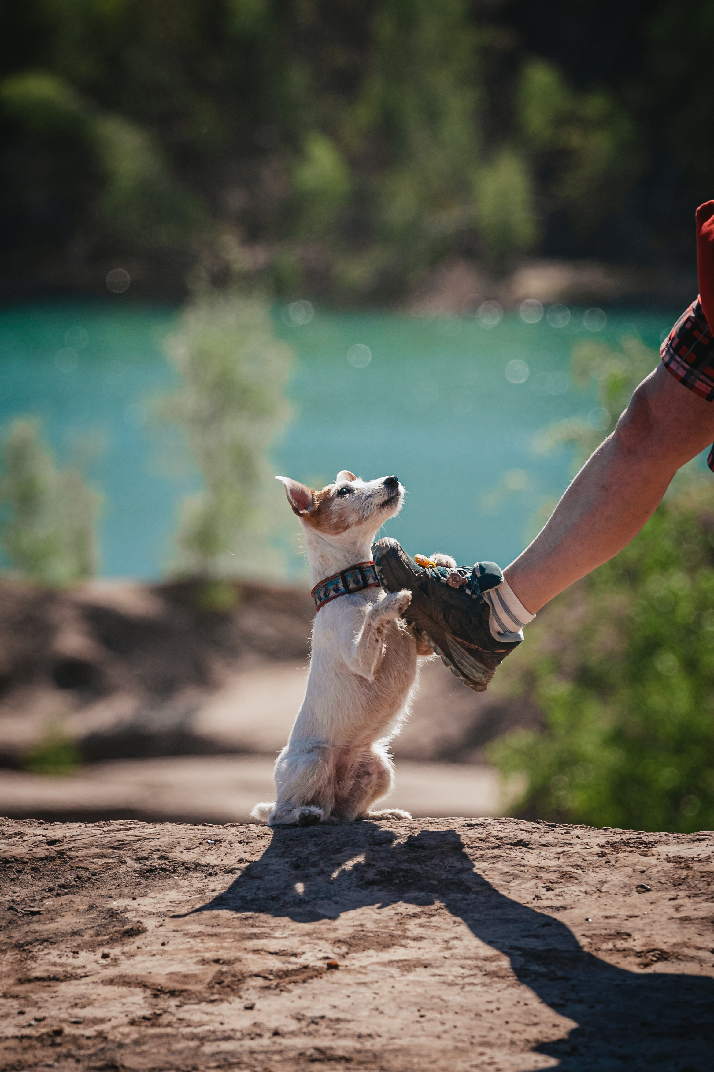 Кондуки. Фотограф-анималист Татьяна Степанова