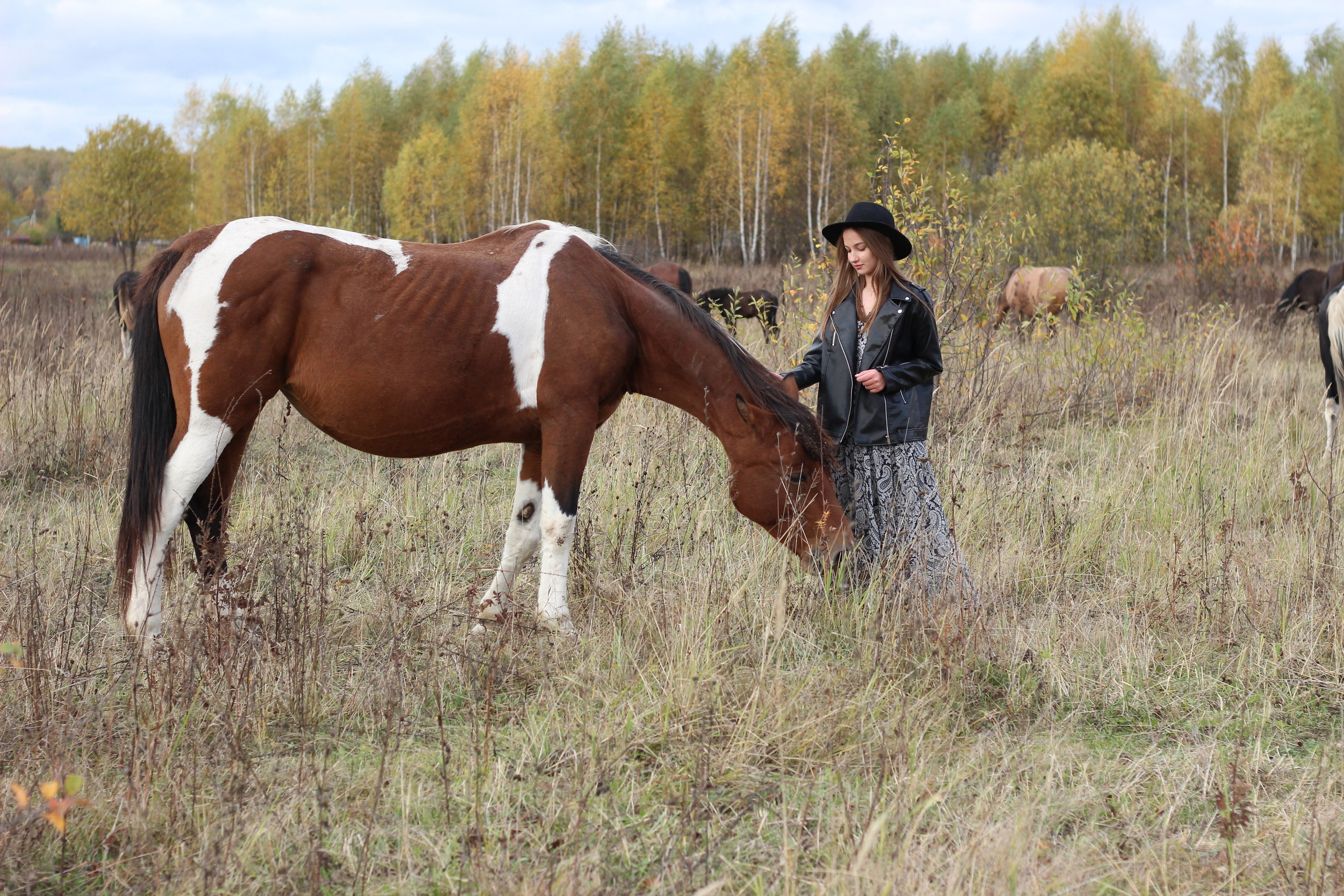 Фотосессия с лошадьми. Бизнес и семейный фотограф Наталья Преснякова Москва Балашиха