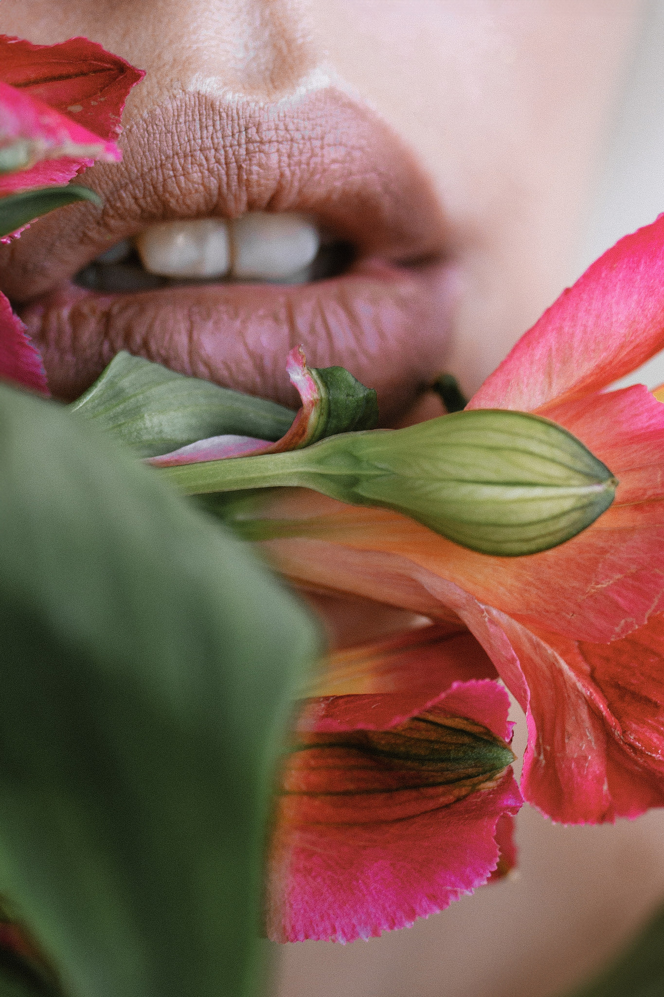 Оля. Свадебный, семейный фотограф в Рязани Лена Брант