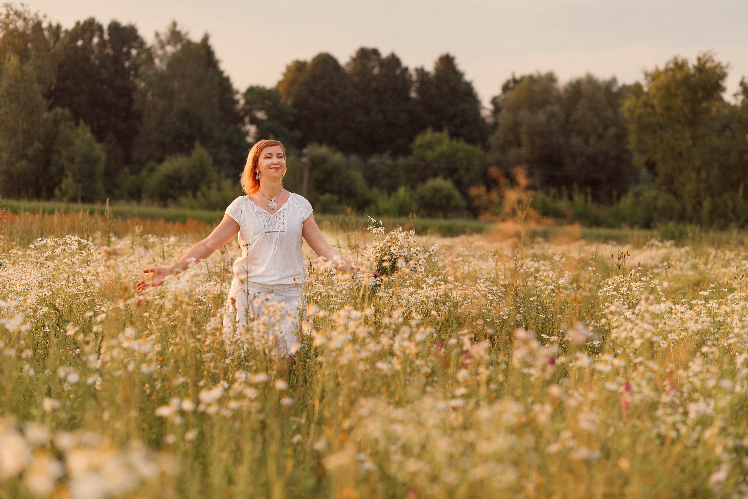 Ромашковый бриз