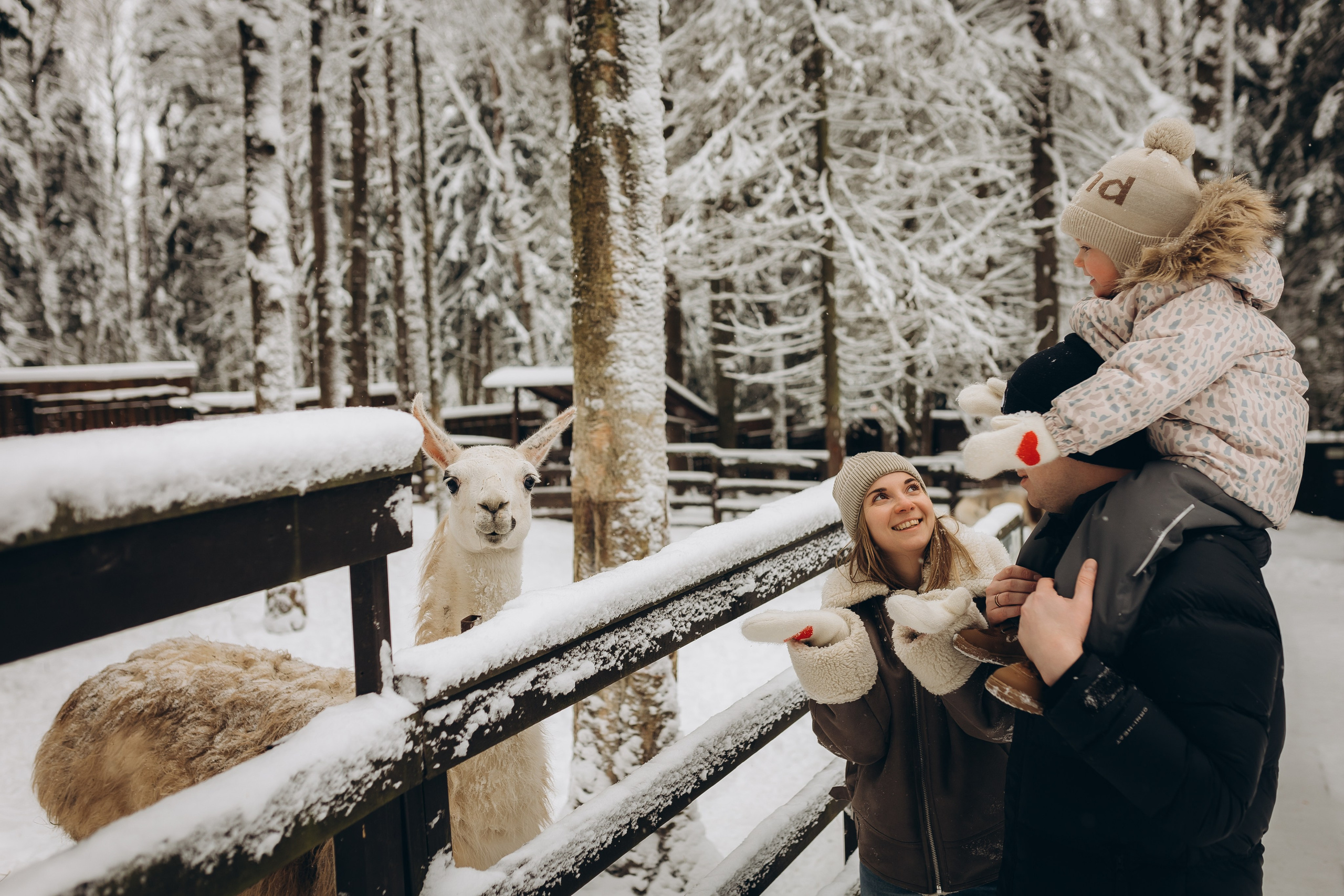 Зимняя сказка. Ph.nataluuna ФОТОГРАФ СЕРГИЕВ ПОСАД