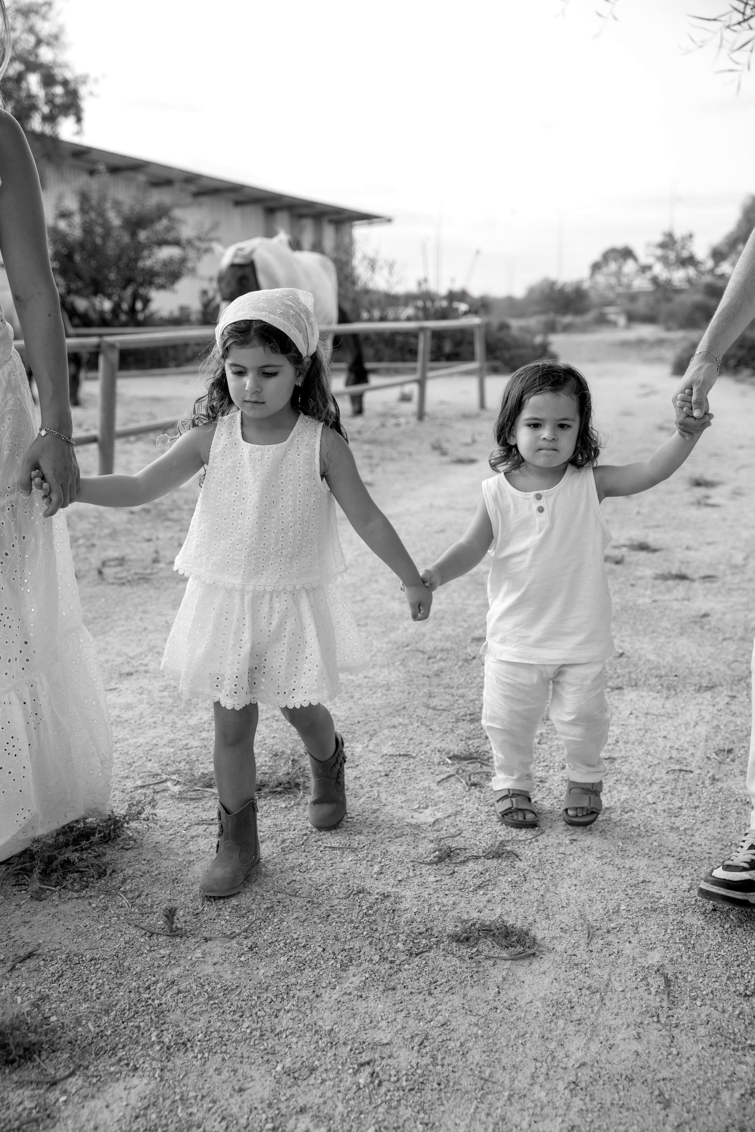 Pregnancy photoshoot at the horse farm. Главная