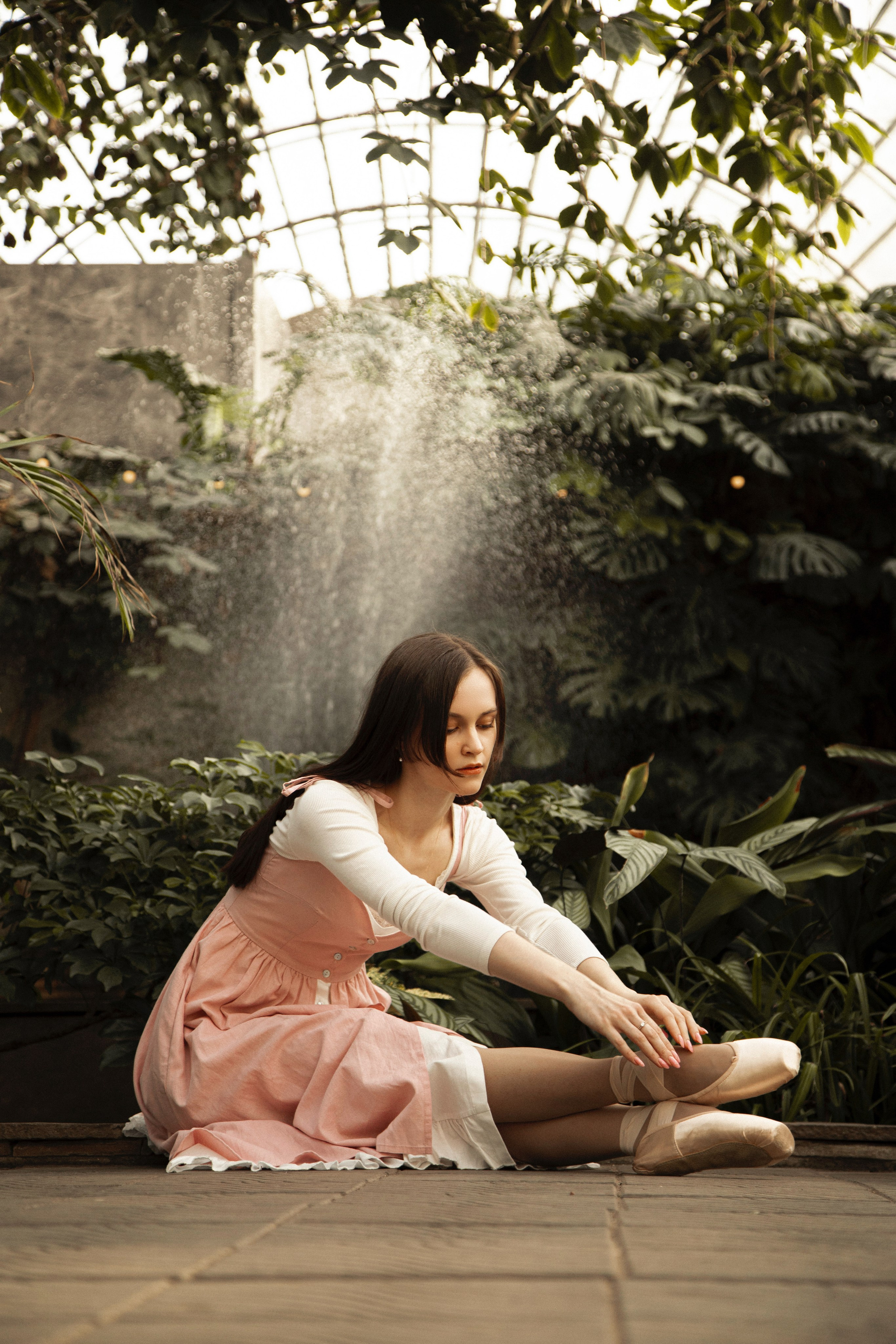 Оранжерея Таврического сада