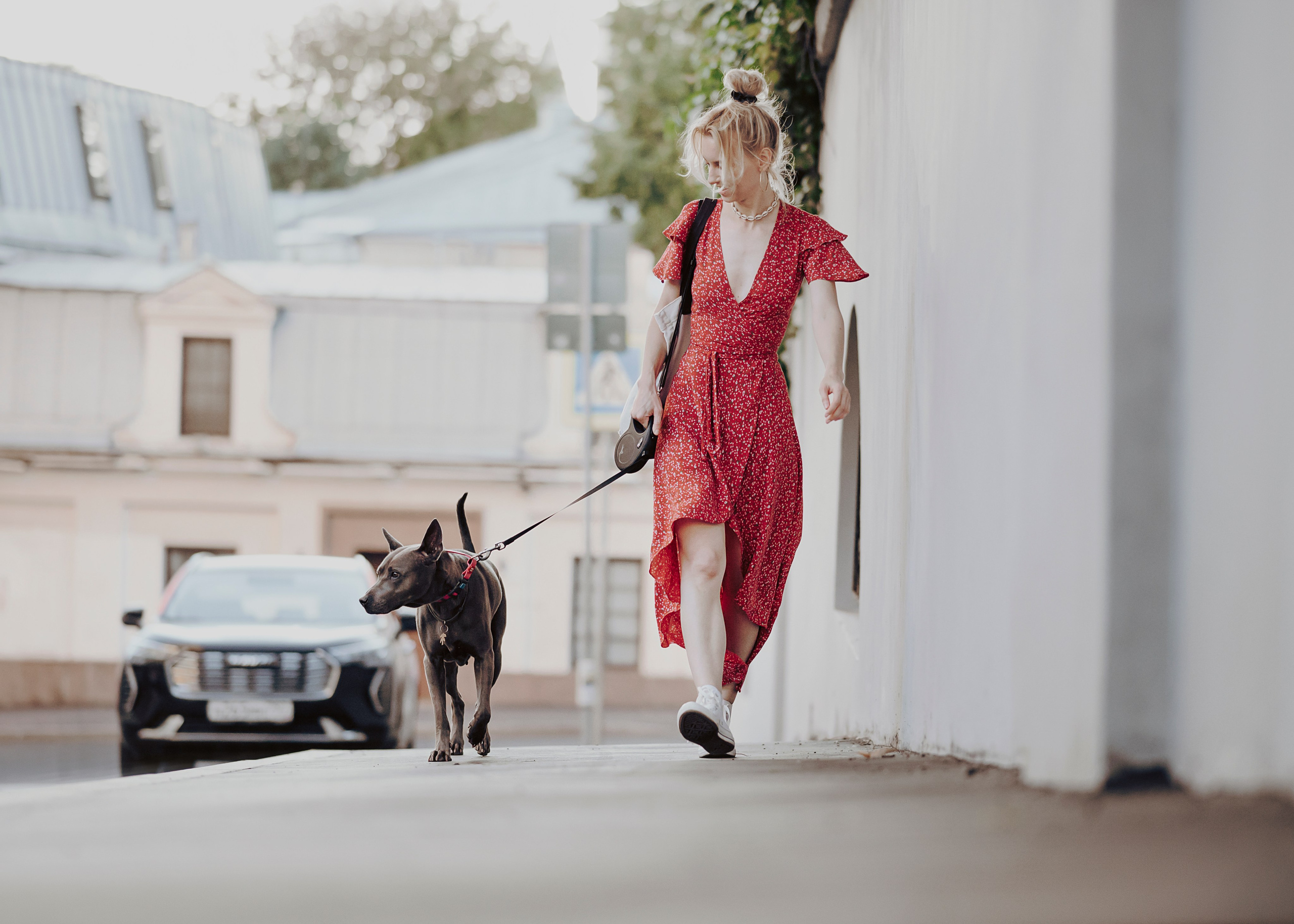 Шарма. Фотограф- анималист Александра Матвеева