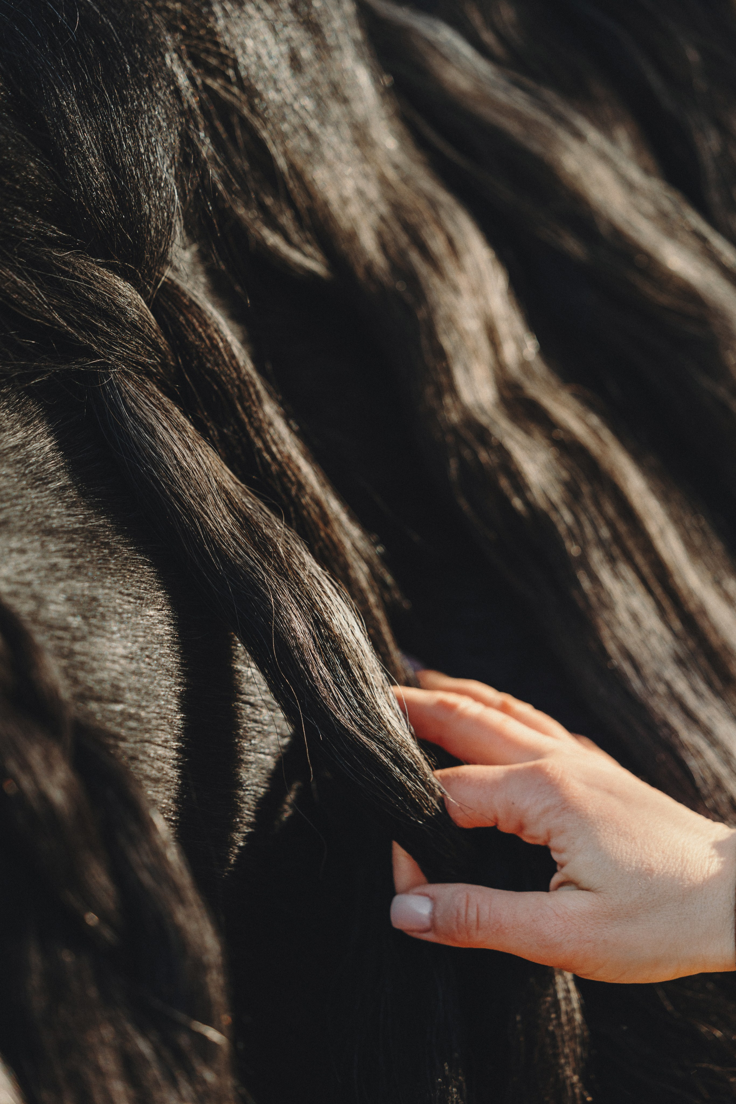 Ирина и Командор. Фотограф анималист Осипчикова Мария