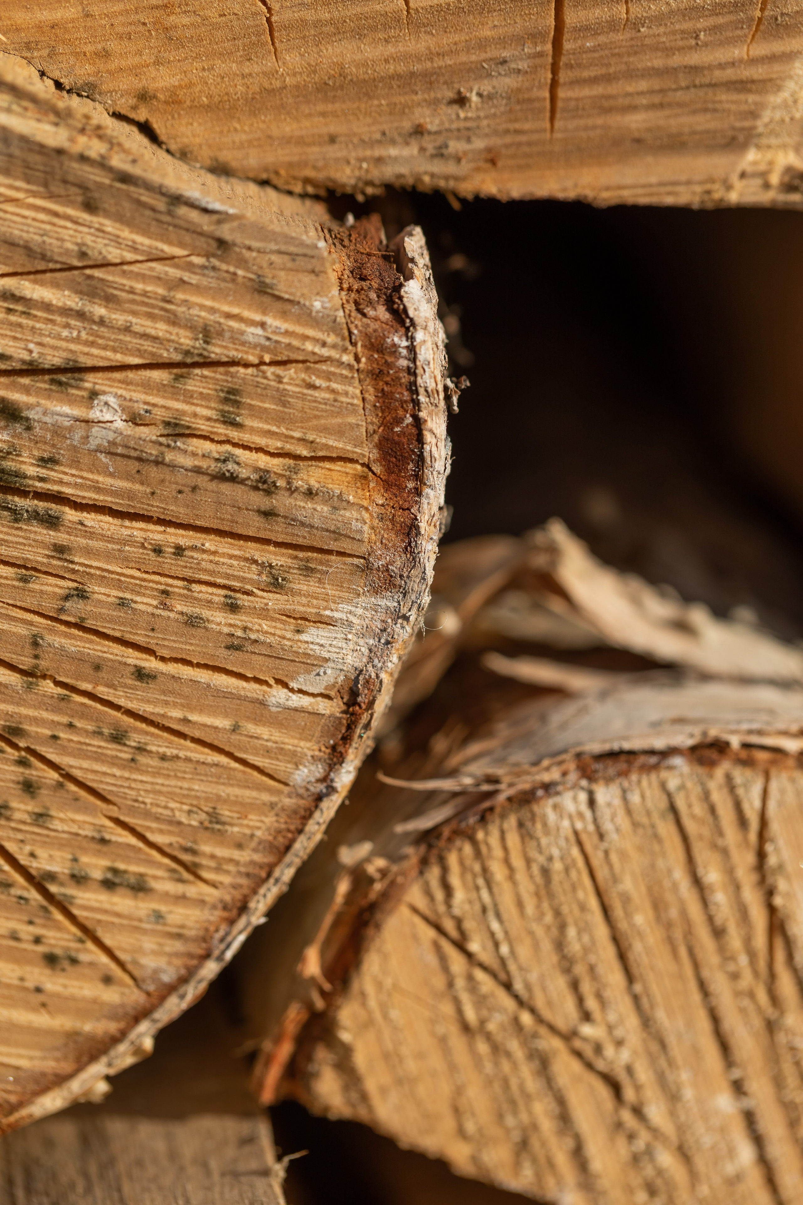 Съемка для проекта: Театрализованный ужин «Один летний день» в отеле Wawelberg. NesterovaMaria.ru