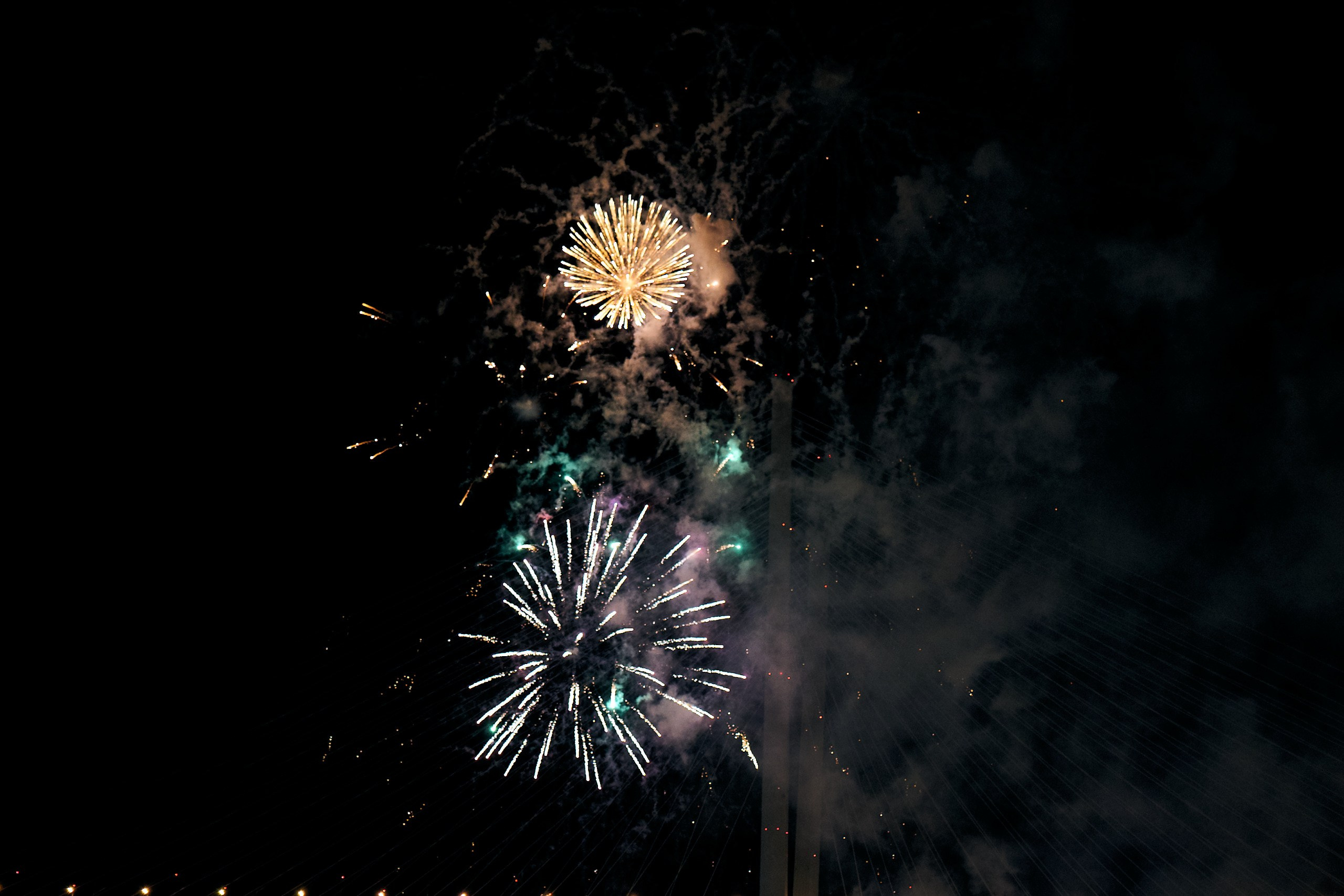 День тигра. Профессиональный репортажный фотограф Инесса Иминова