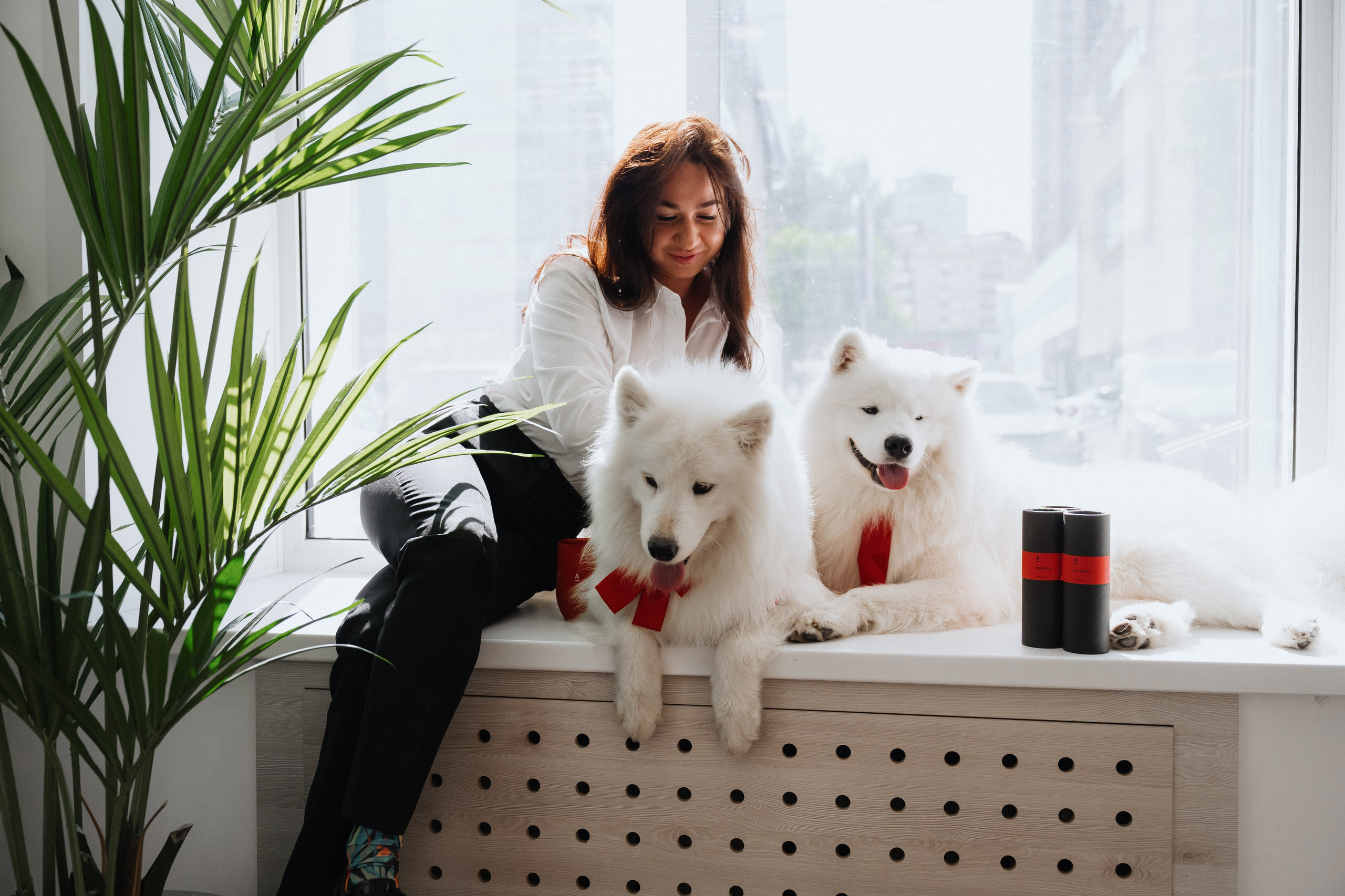 Фотосессия с самоедами