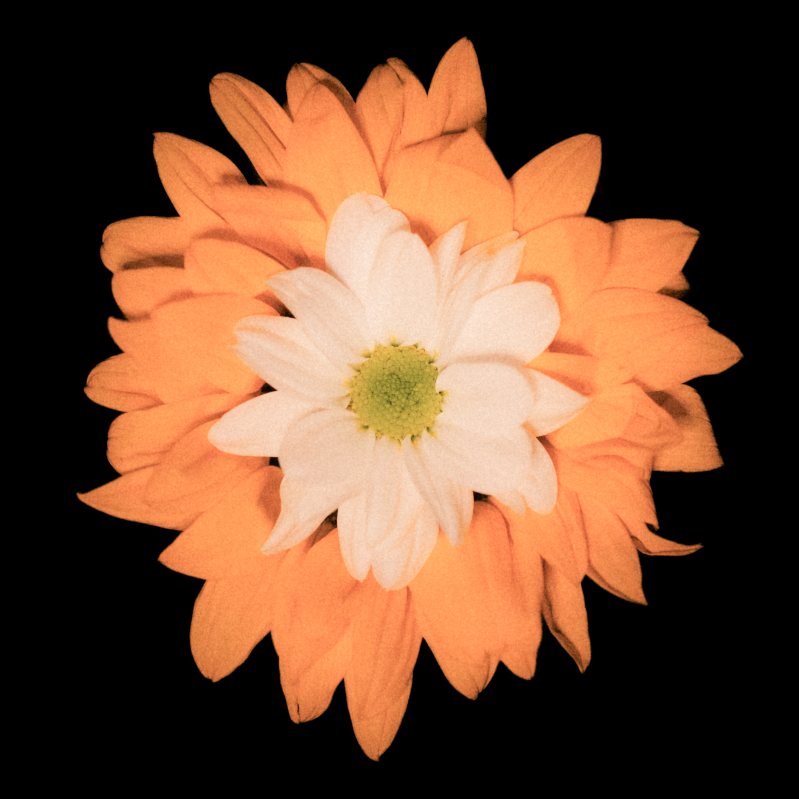 Единство (серия). Мистические фотосессии в Санкт-Петербурге от мистика Ильи Шенгелия