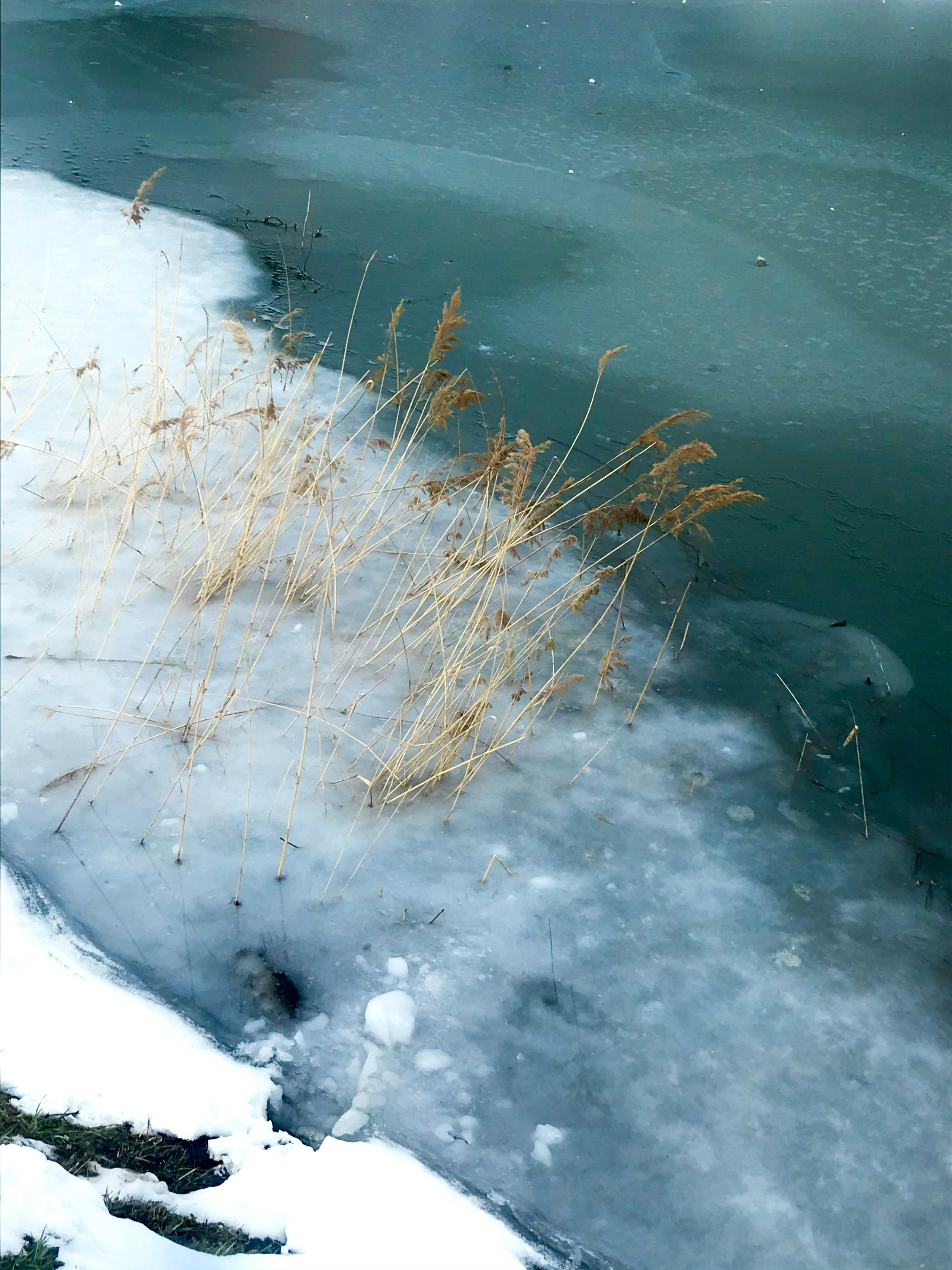 ART. Фотограф Анна Апрельская Москва| Moscow Anna Aprelskaya Photographer