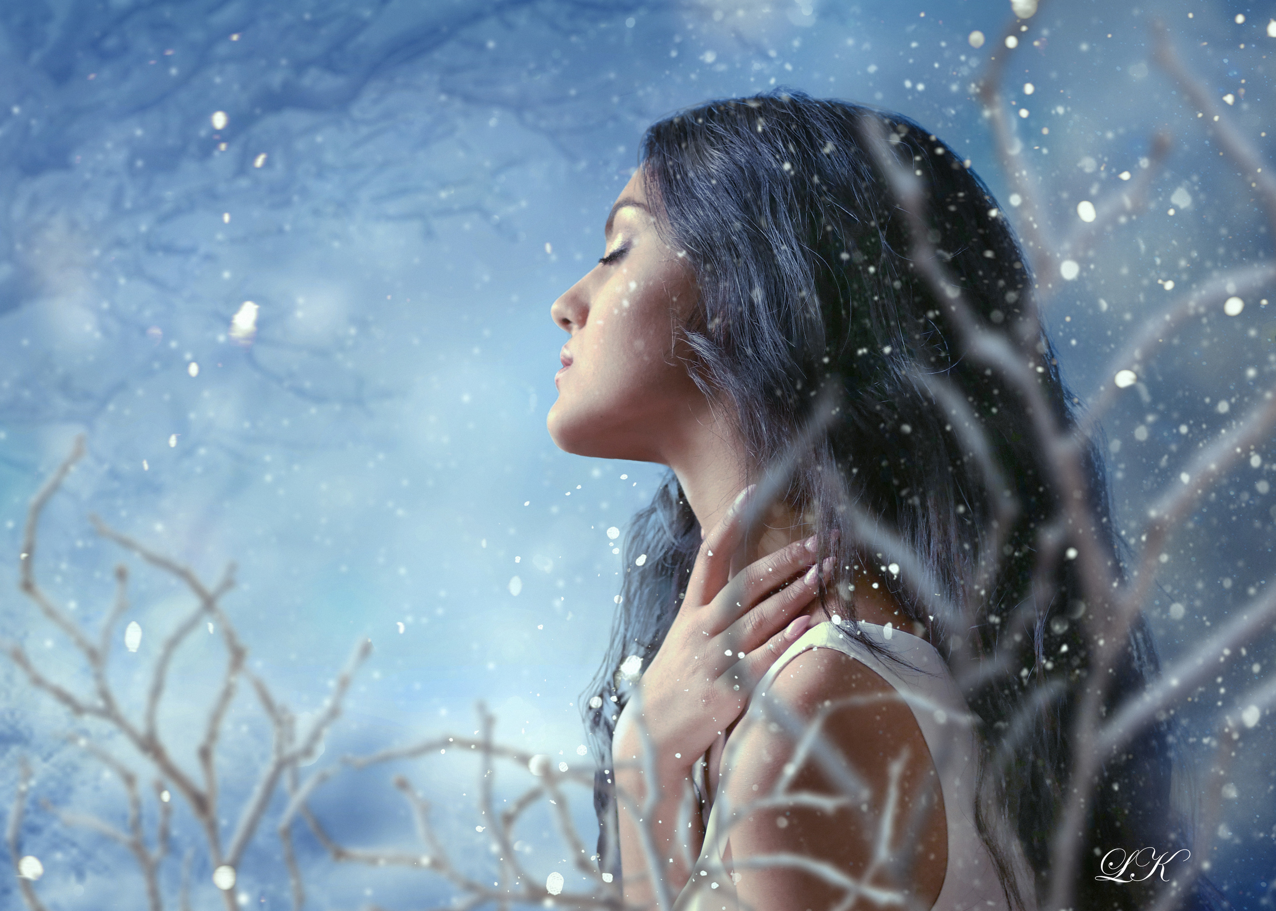 ФотоИллюстрации